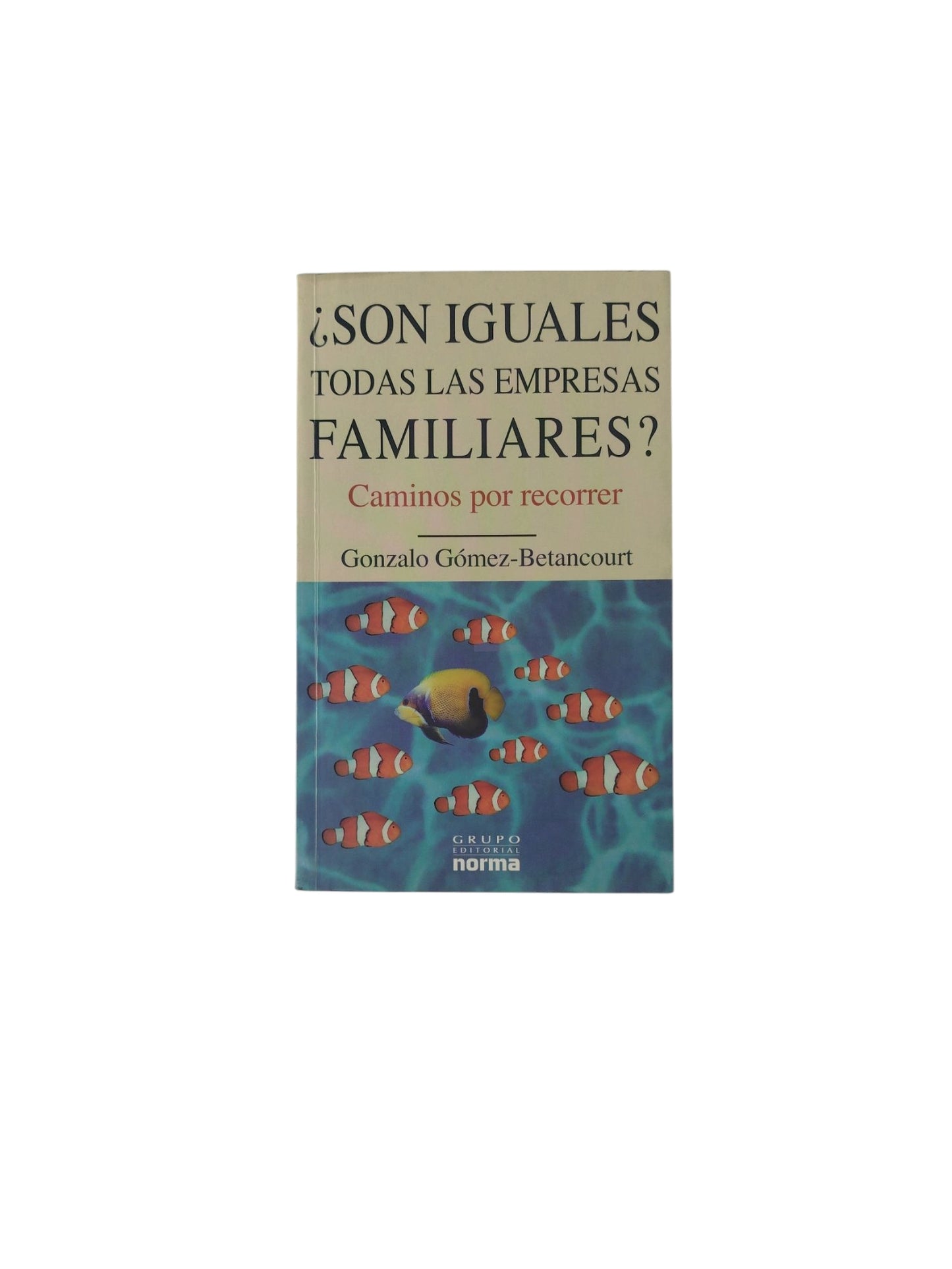 ¿Son Iguales Todas las Empresas Familiares?