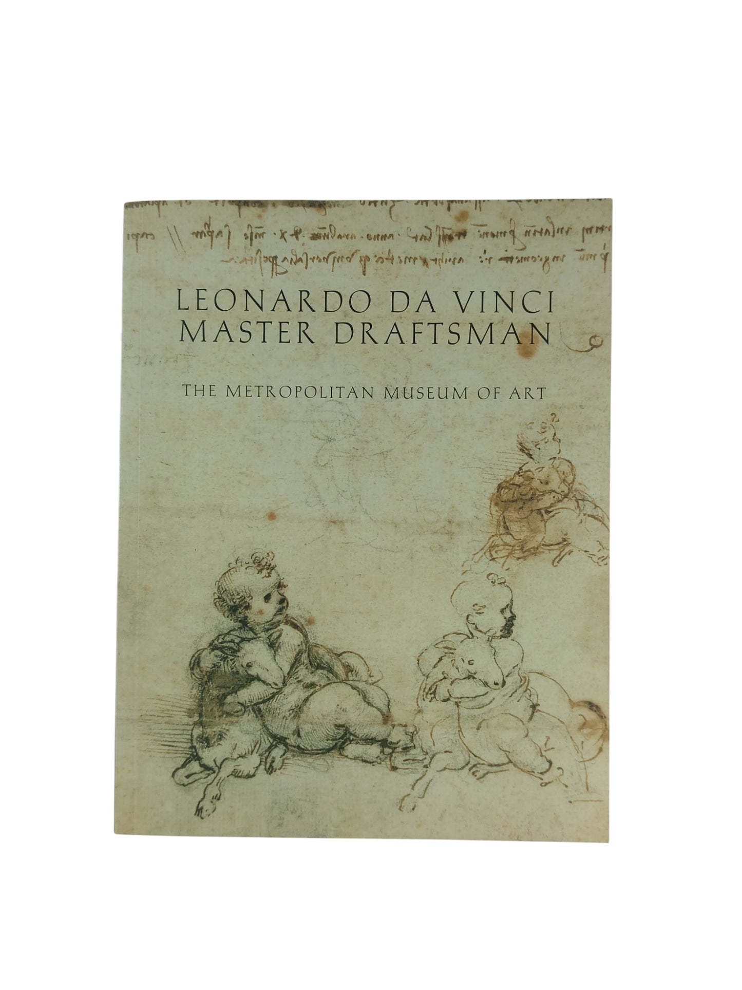 Leonardo Da Vinci master draftsman