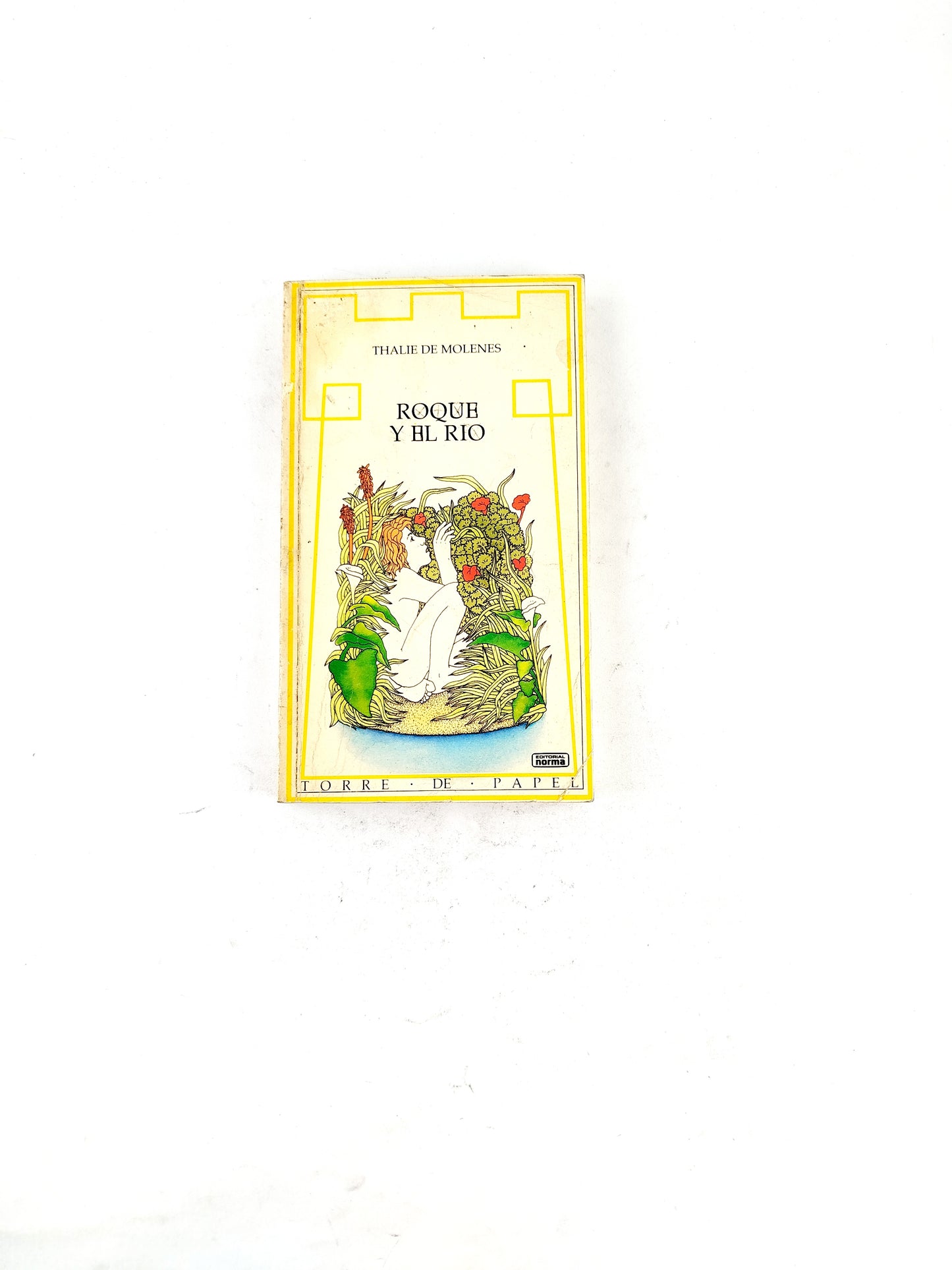 Roque y el rio libro