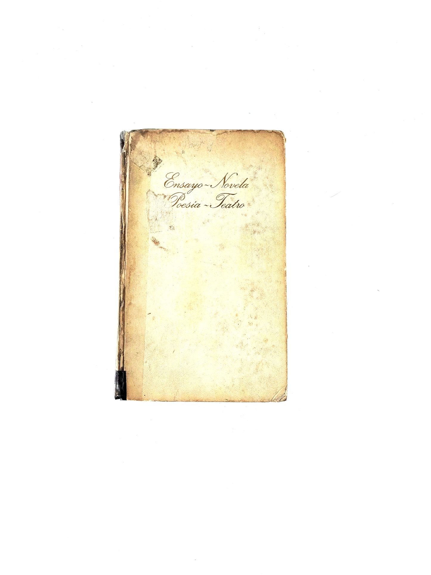 Ensayo-novela-poesía-teatro