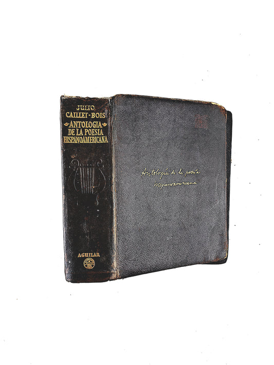 Julio Caillet Boys Antología de la Poesía Hispanoamericana