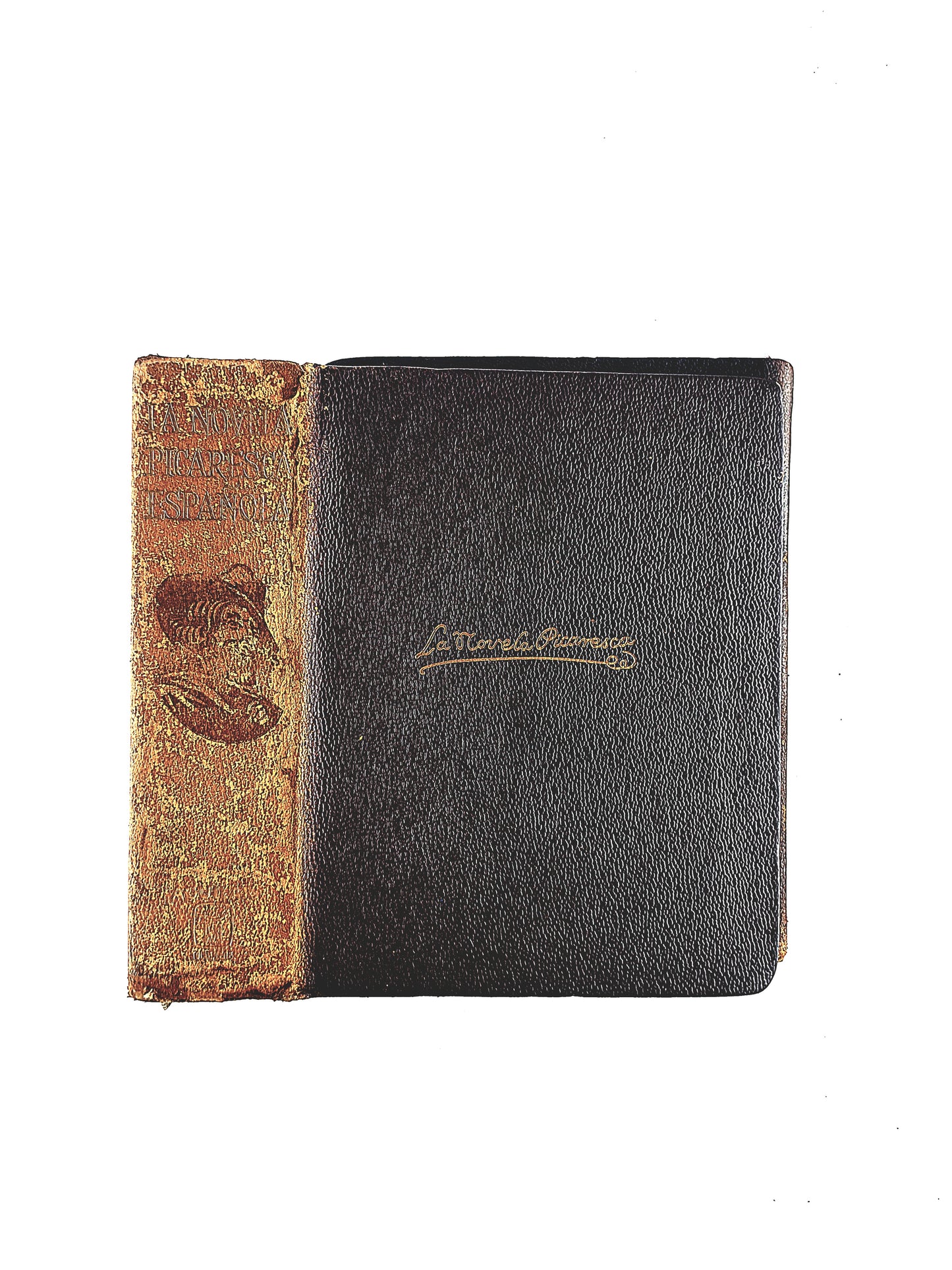 La Novela Picaresca Española