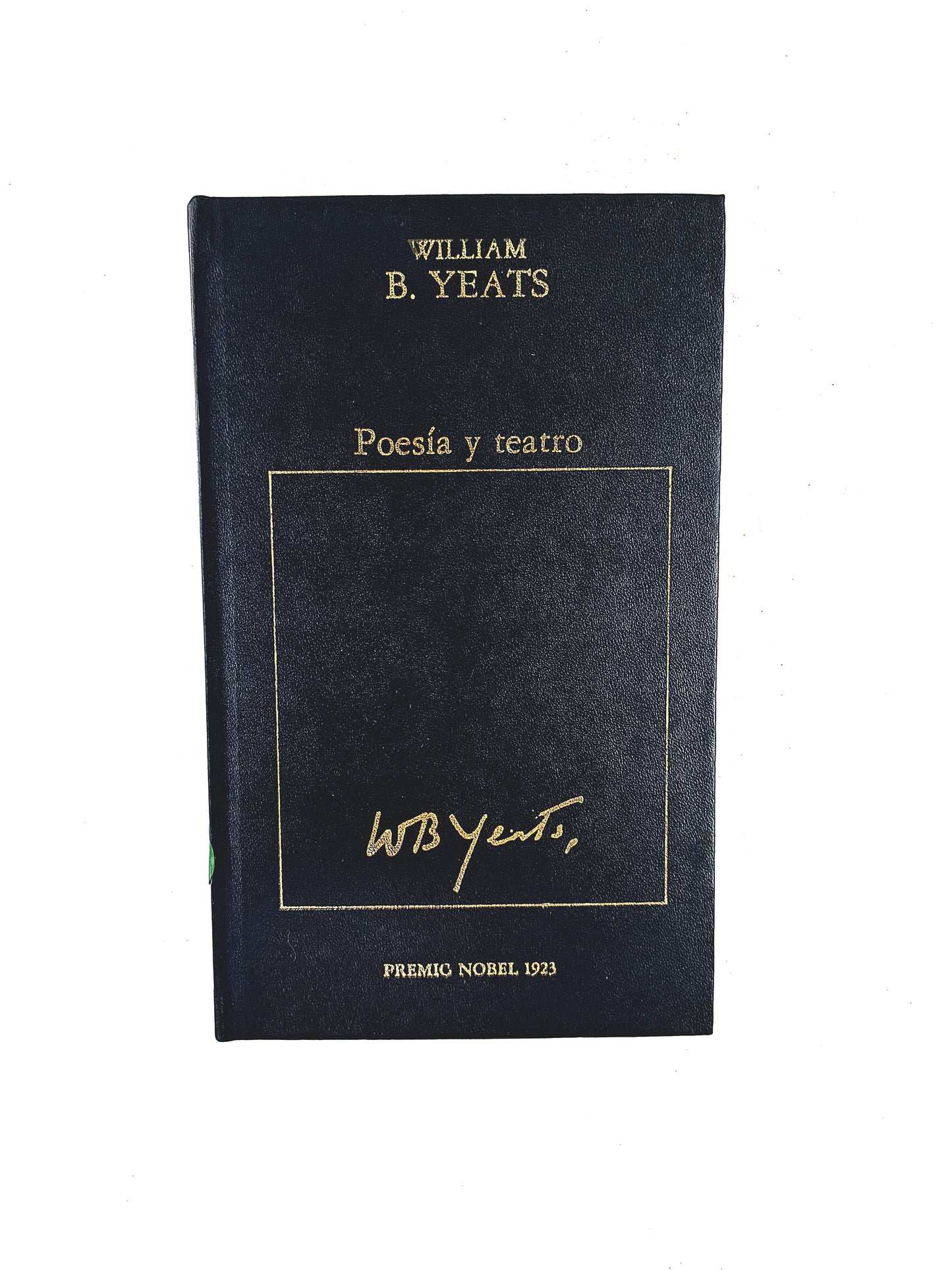 Poesía y Taatro