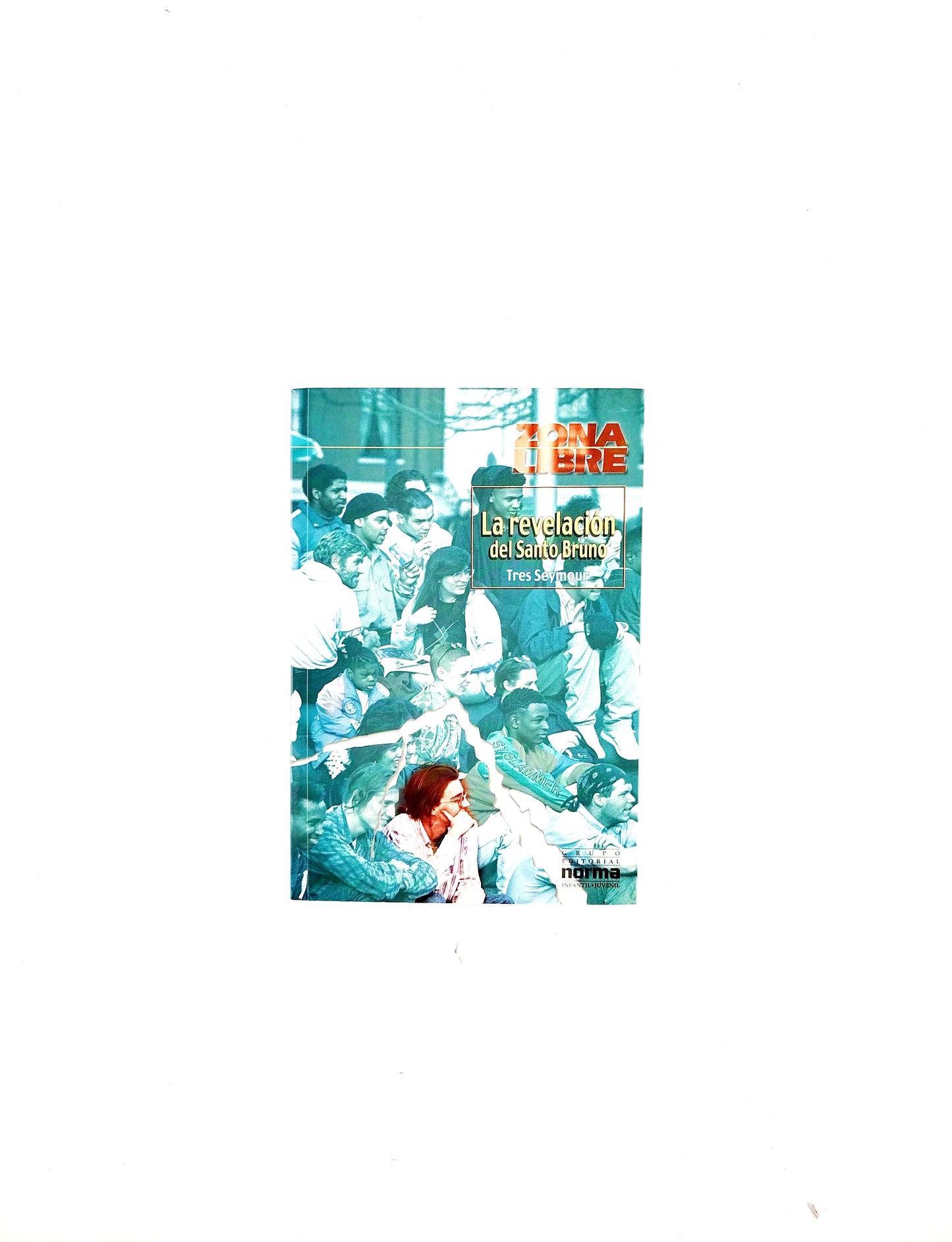 La revelación del santo bruno