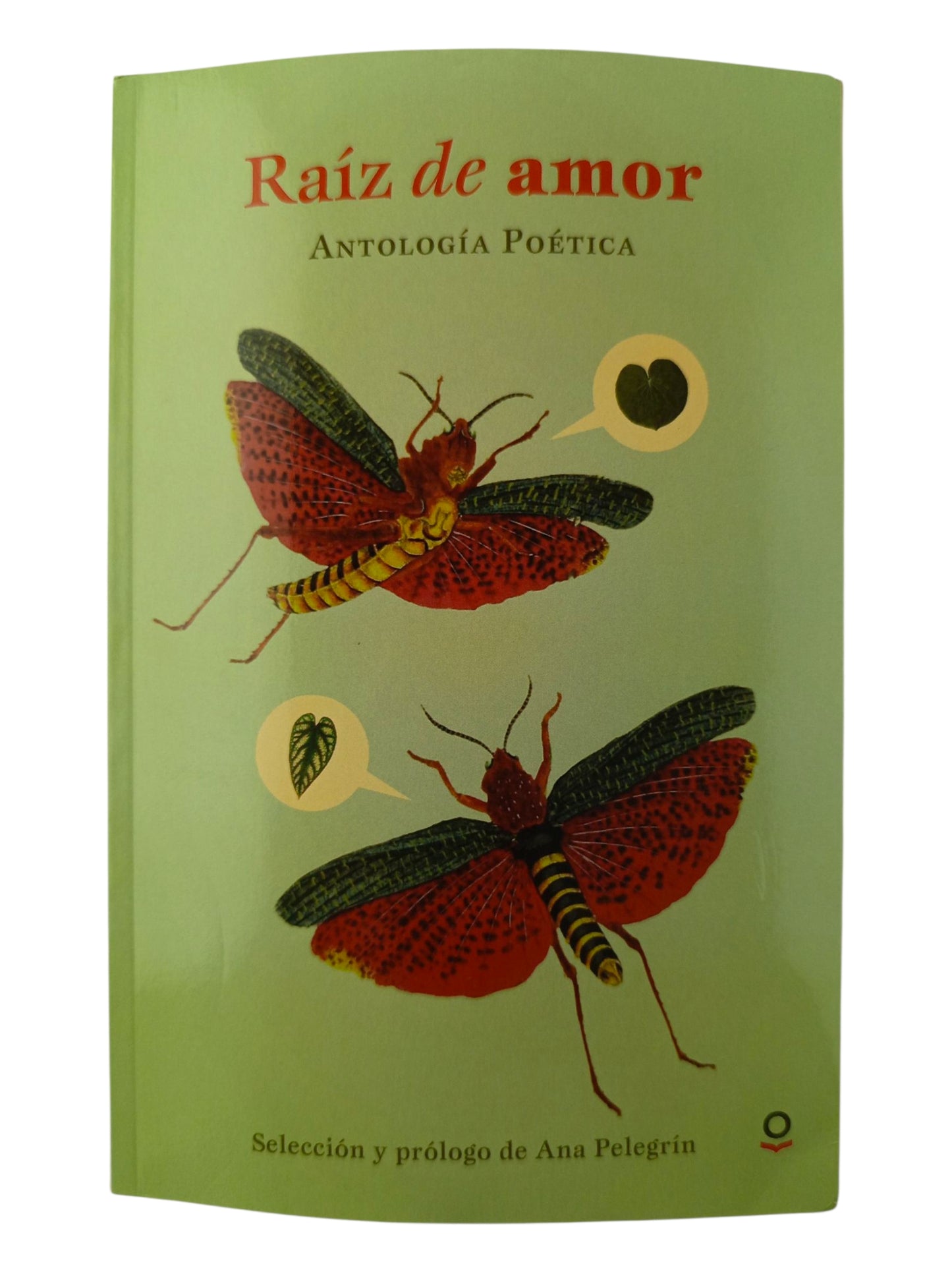 Raíz de amor antología poética