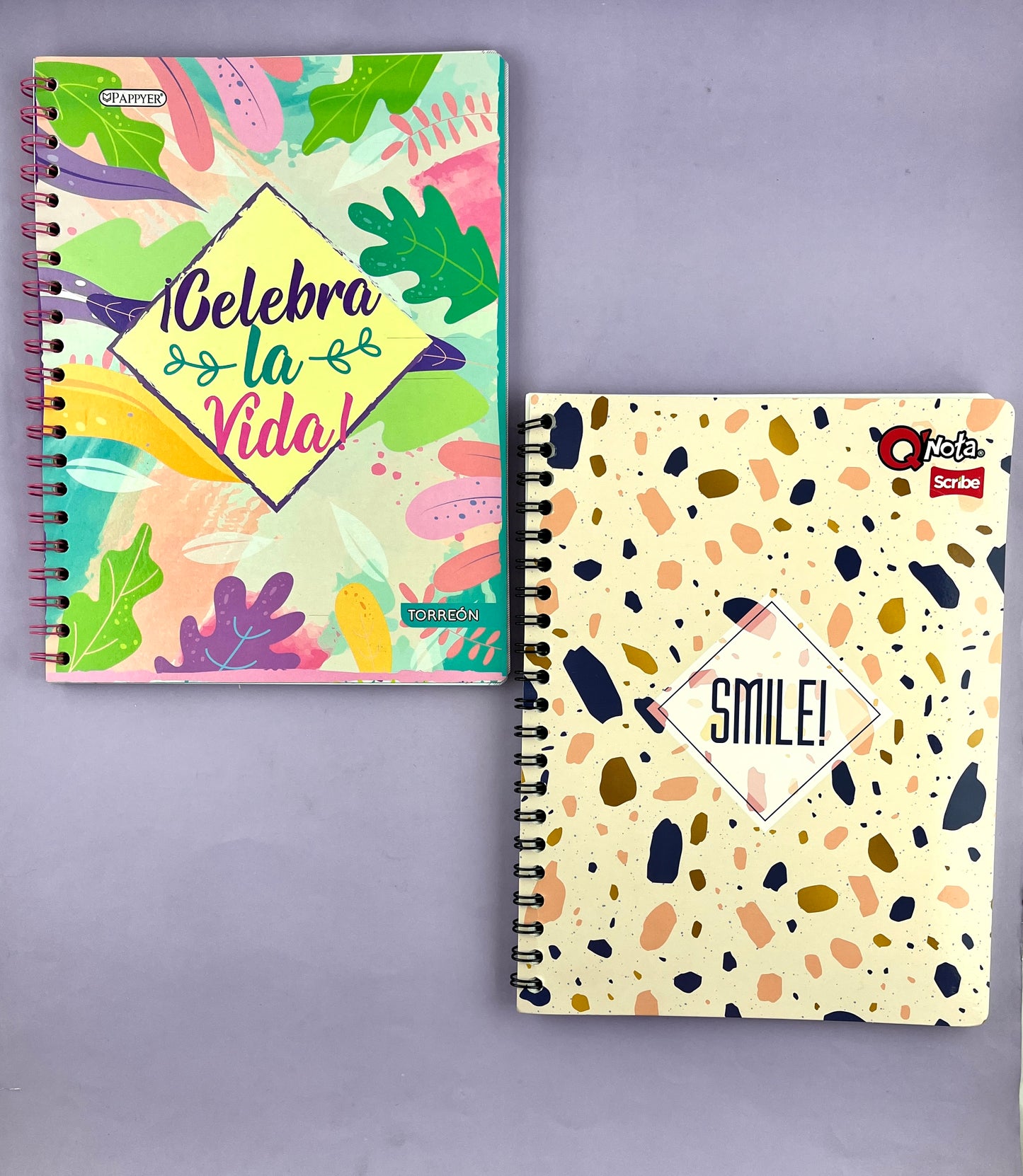 Cuaderno argollado grande 105 Línea corriente económico Mujer