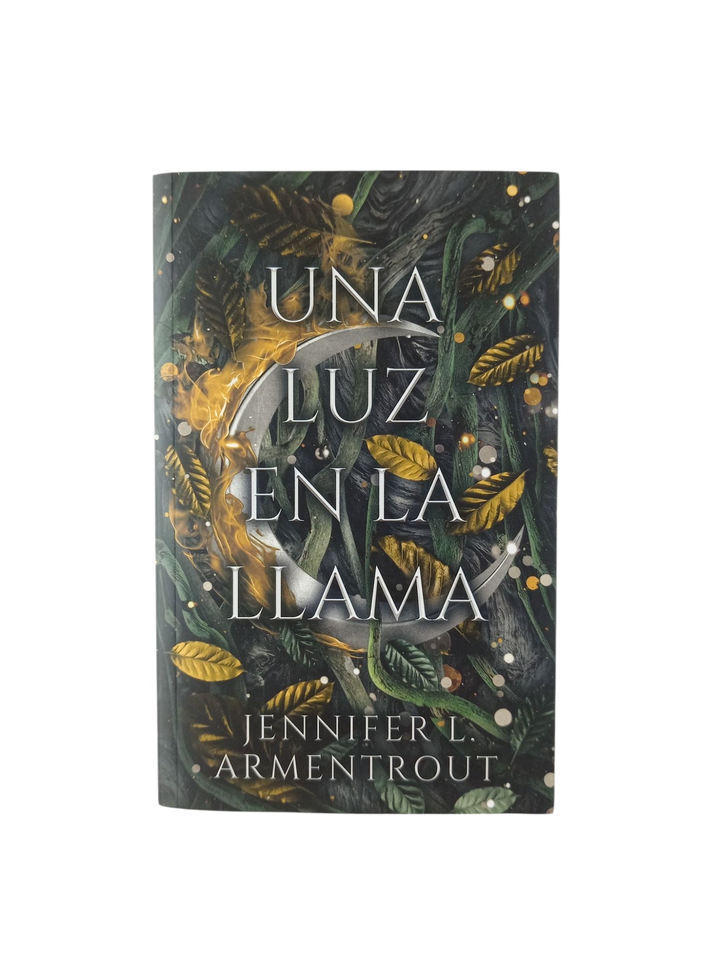Una luz en la llama libro 2
