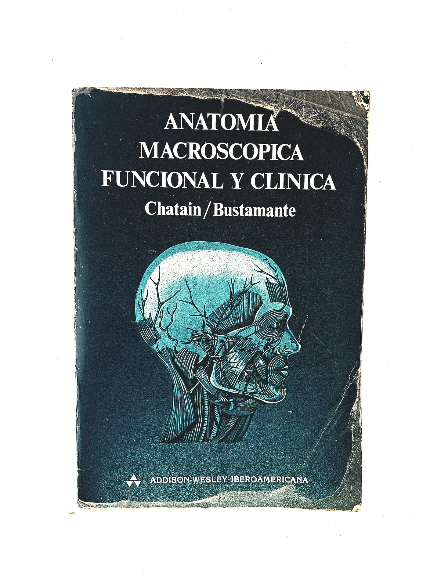 Anatomía Macroscópica funcional y clínica
