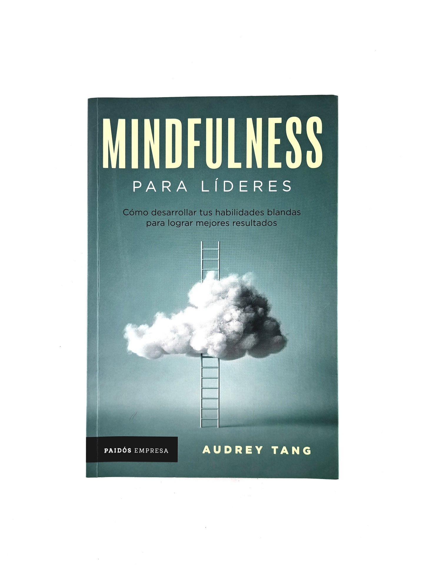 Mindfulness para líderes