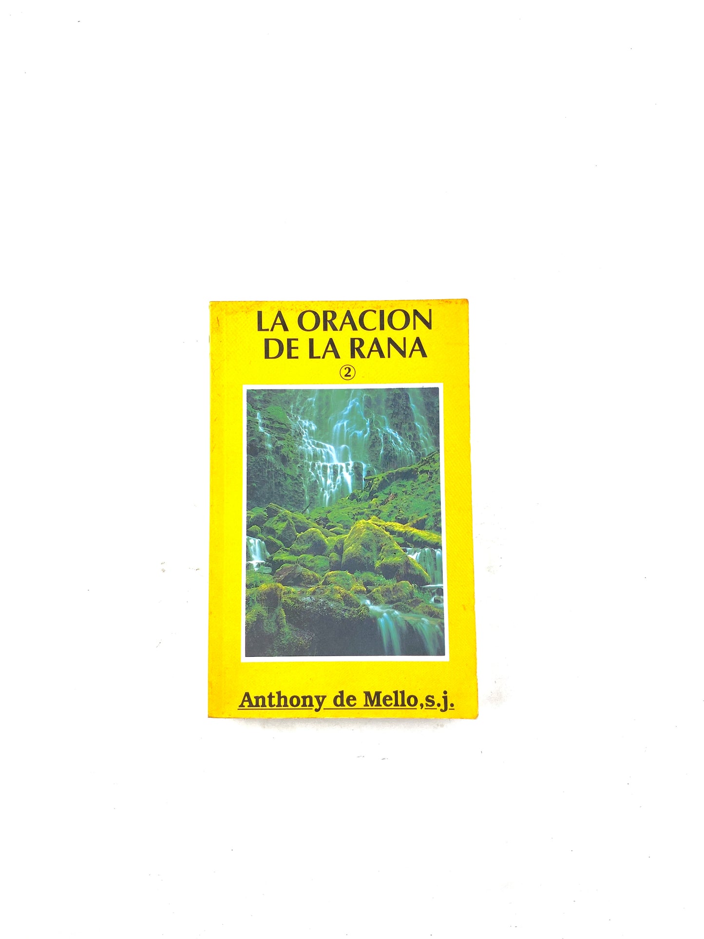 La oración de la rana 2