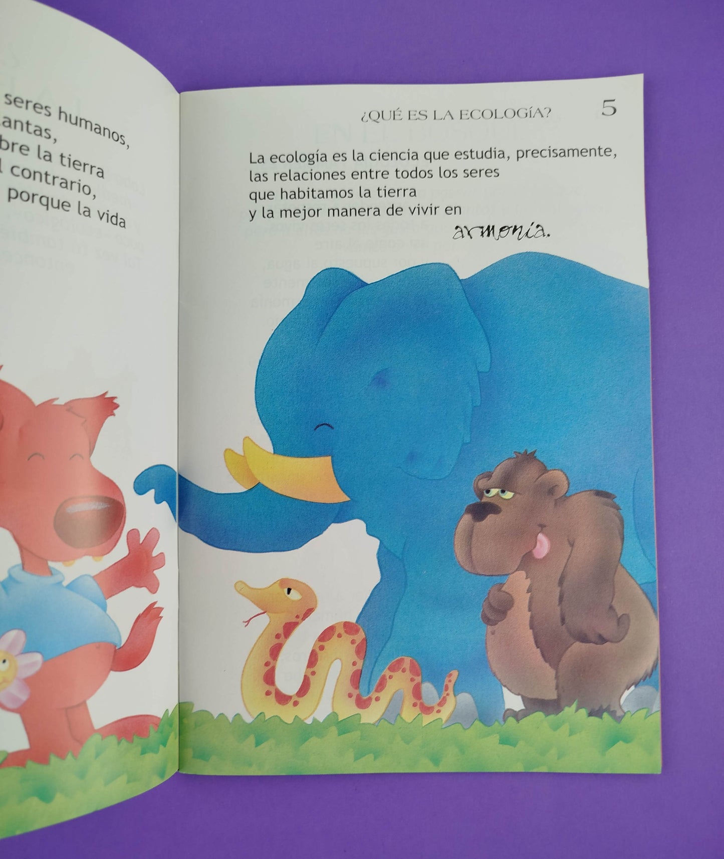 Educación ecológica