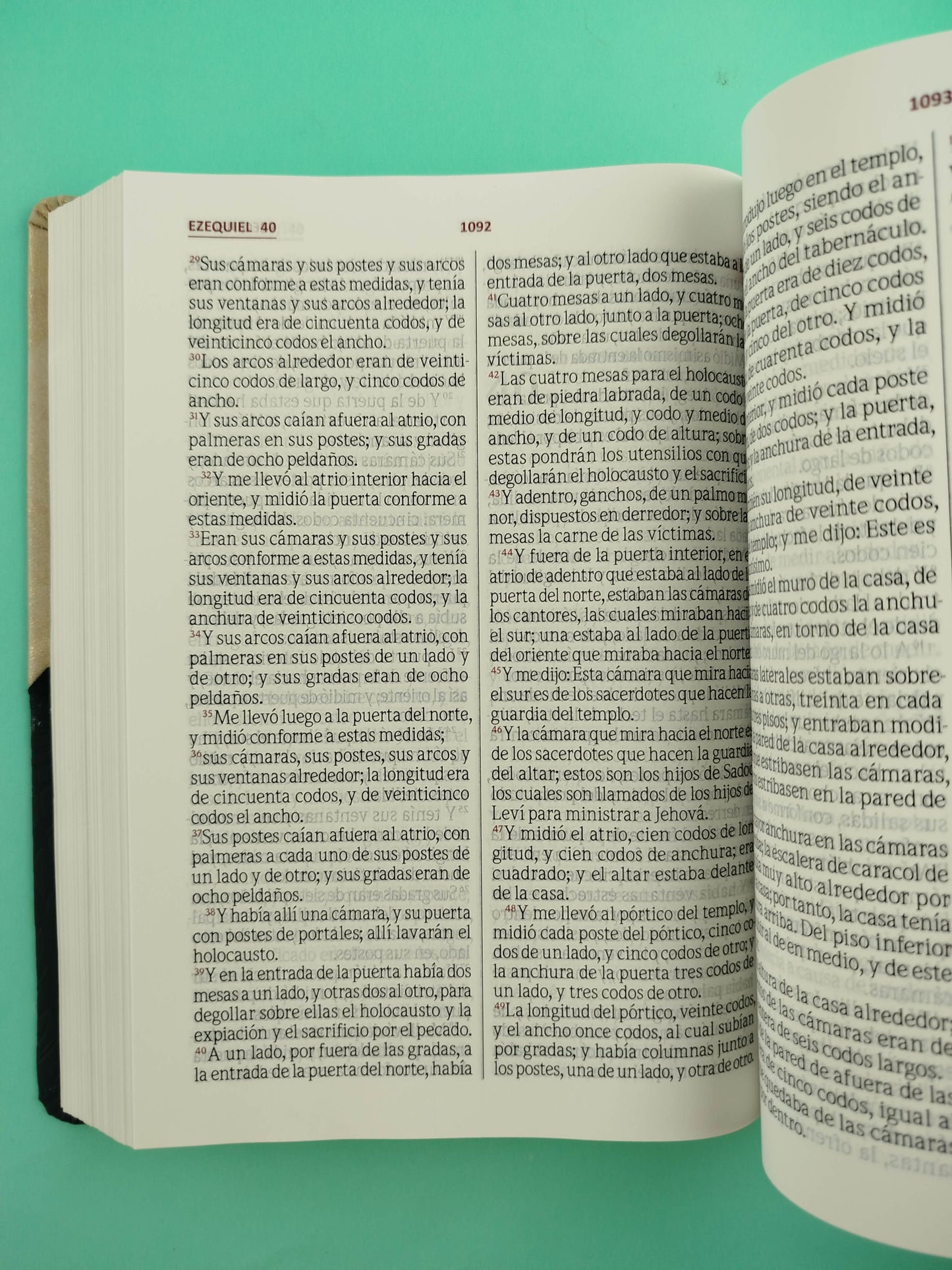 Biblia letra gigante beige negro borde blanco sin cierre