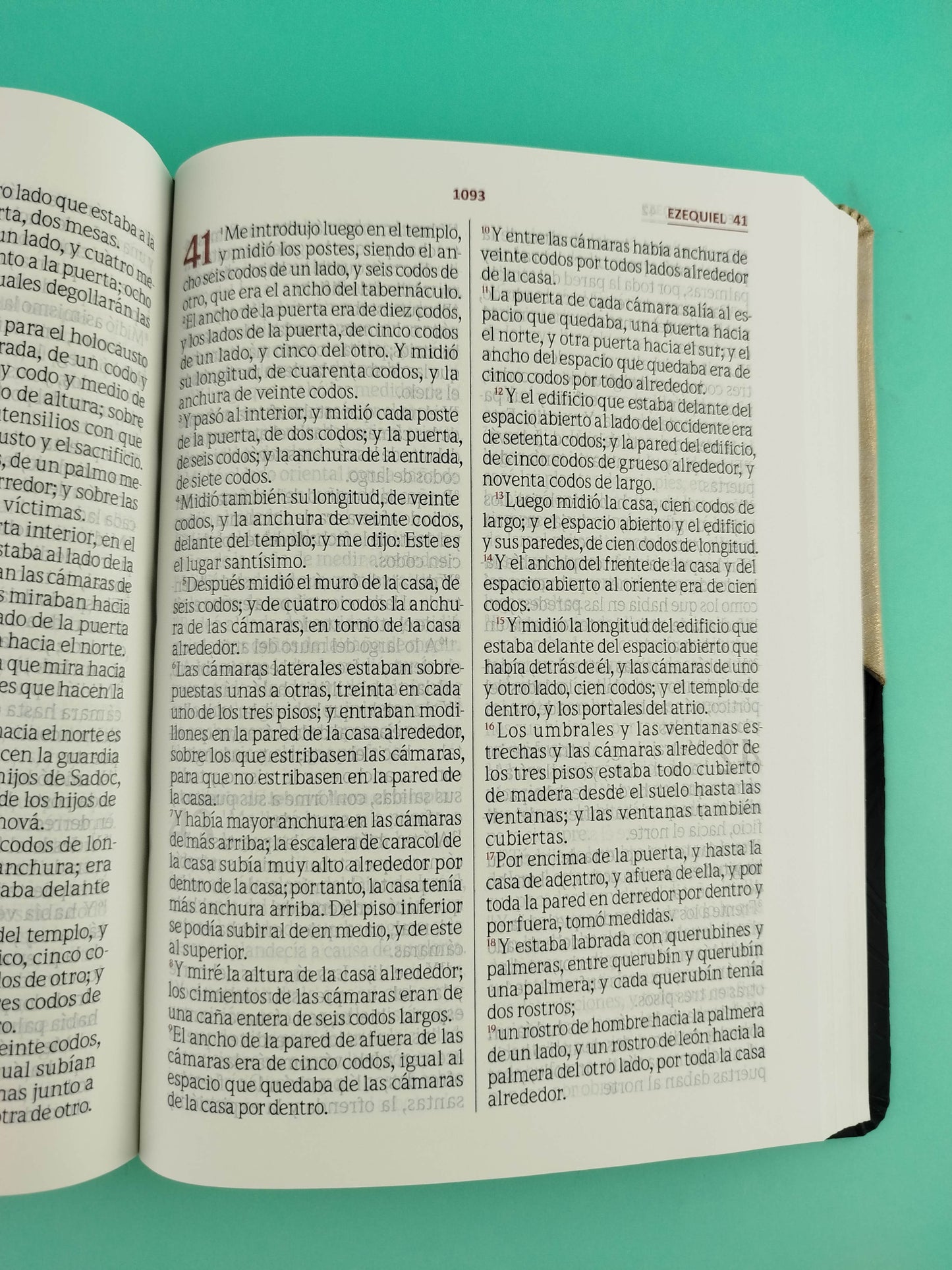 Biblia letra gigante beige negro borde blanco sin cierre