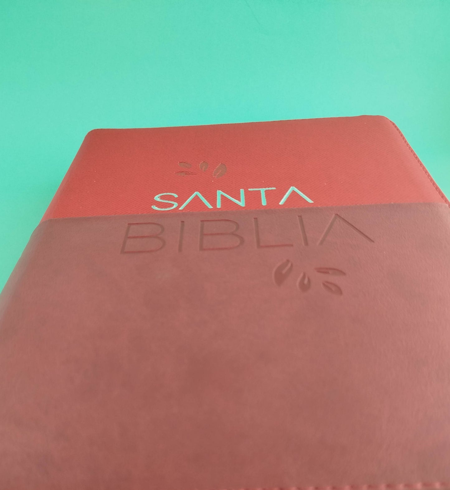 Biblia Letra gigante cereza vinotinto borde blanco con cierre
