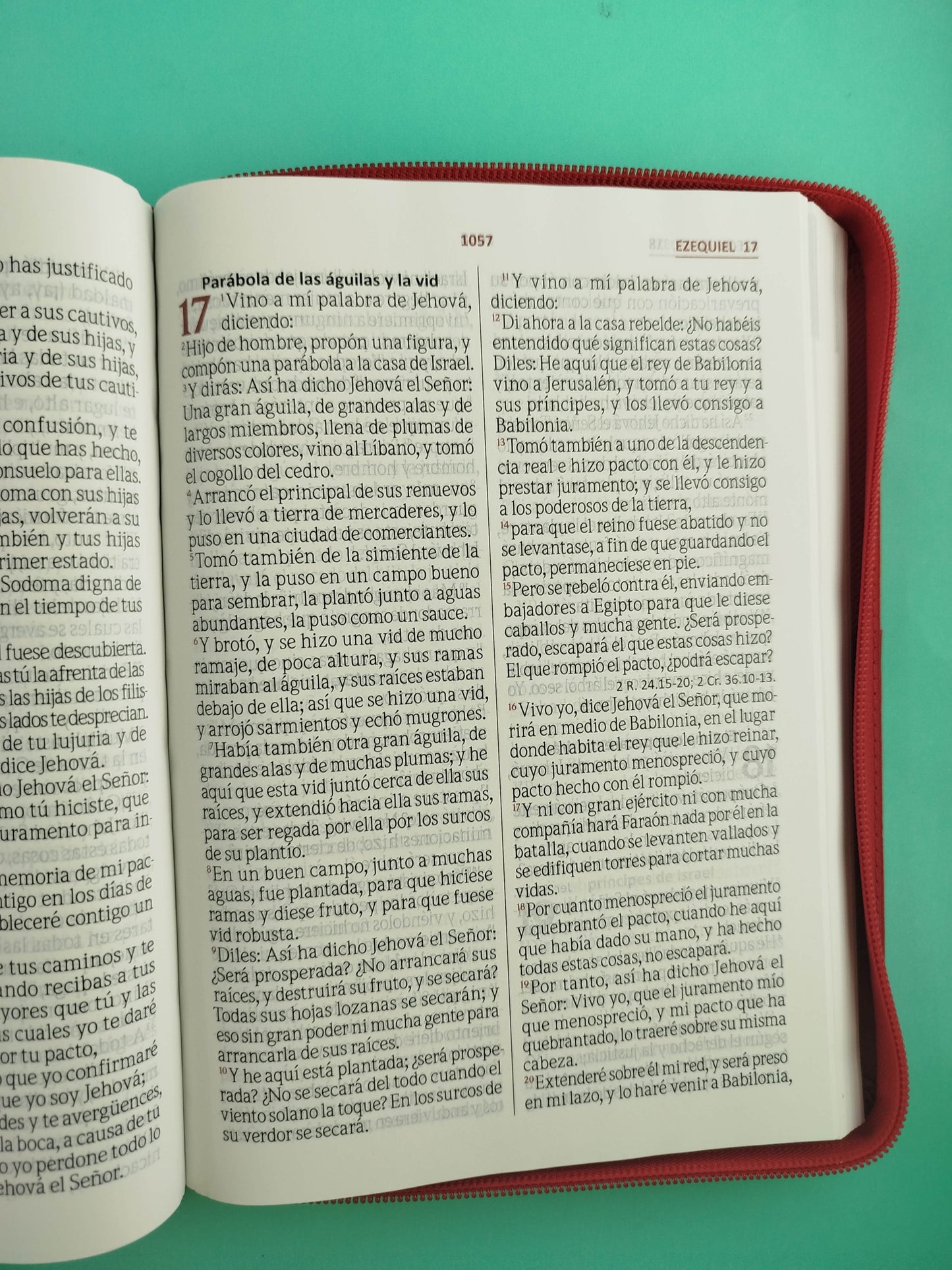 Biblia Letra gigante cereza vinotinto borde blanco con cierre