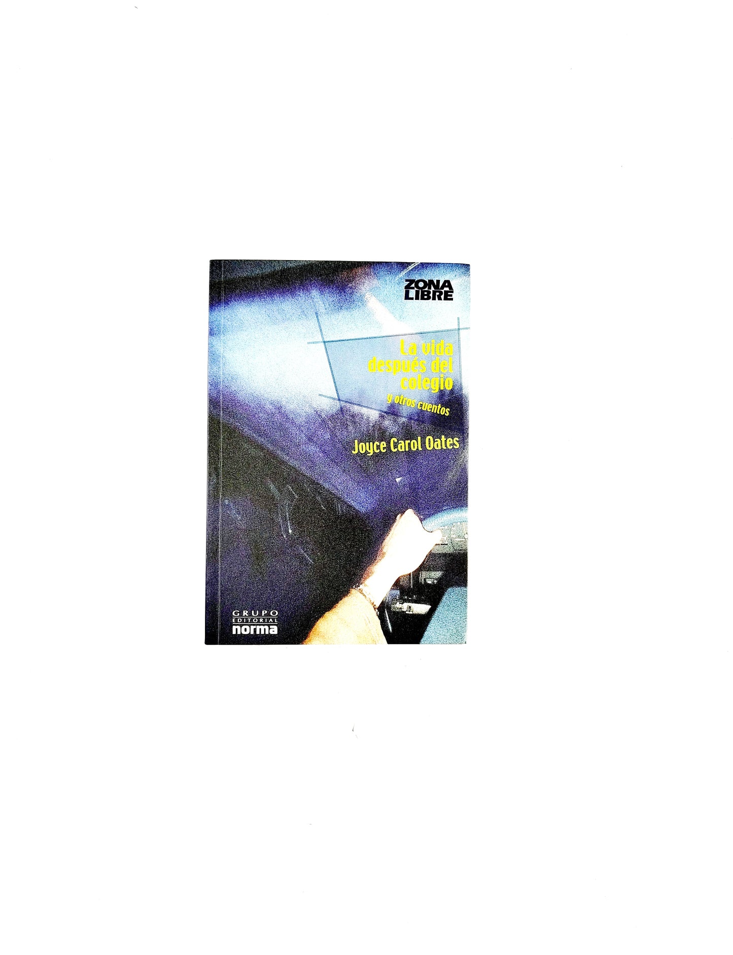 La vida después del colegio y otros cuentos