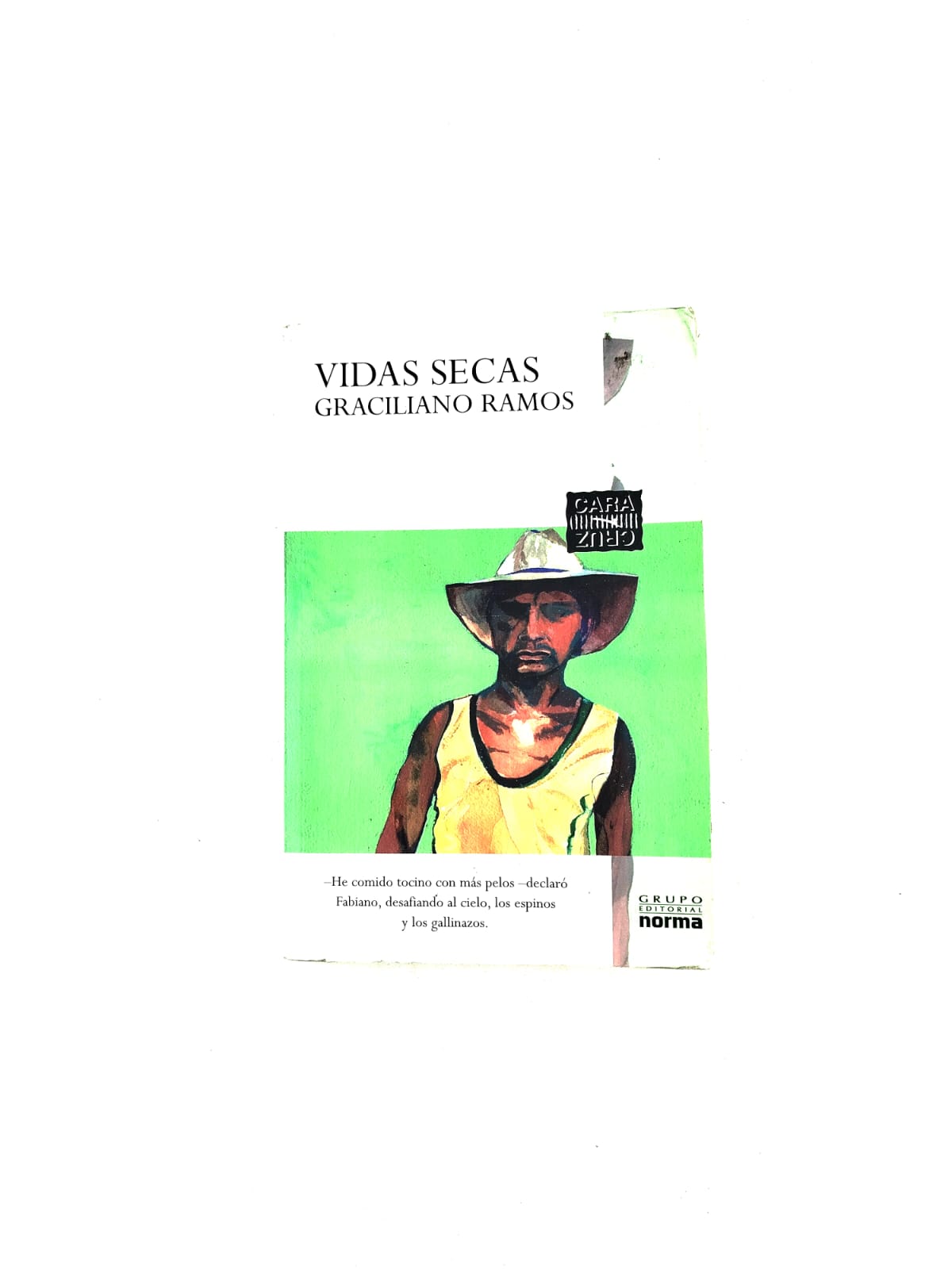 Vidas secas by Graciliano Ramos