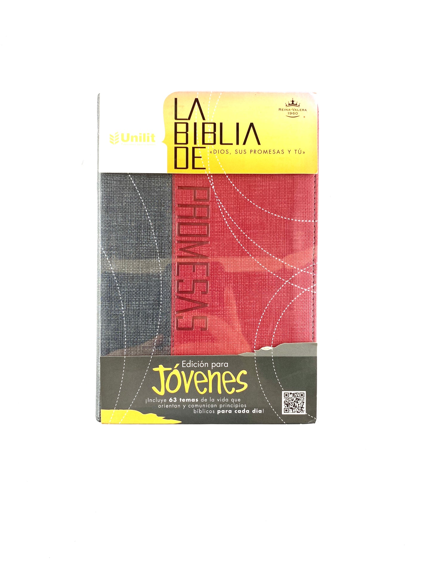 Biblia promesas edición para jóvenes rojo/gris