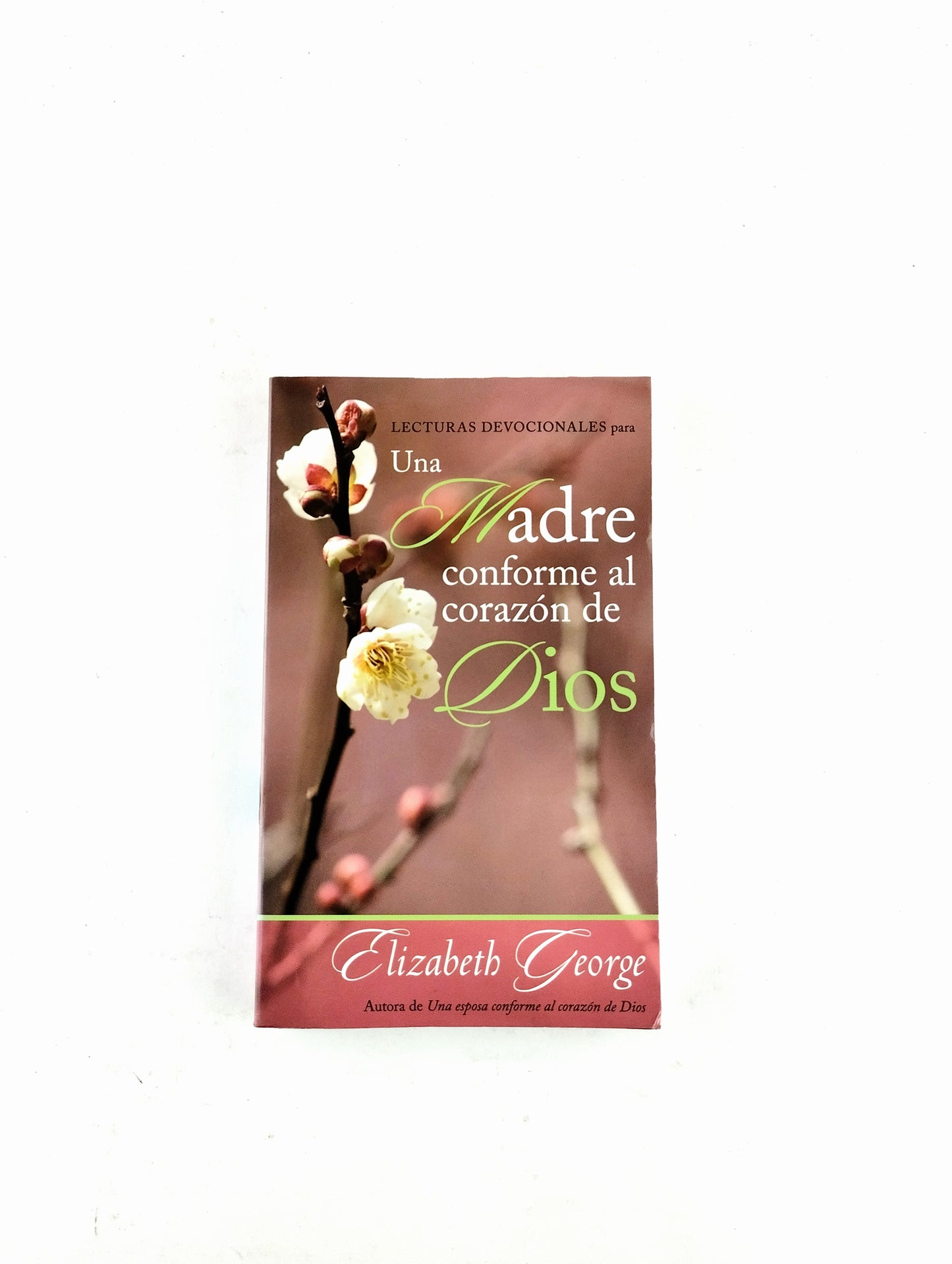 Lecturas devocionales Para una madre conforme al corazón de Dios