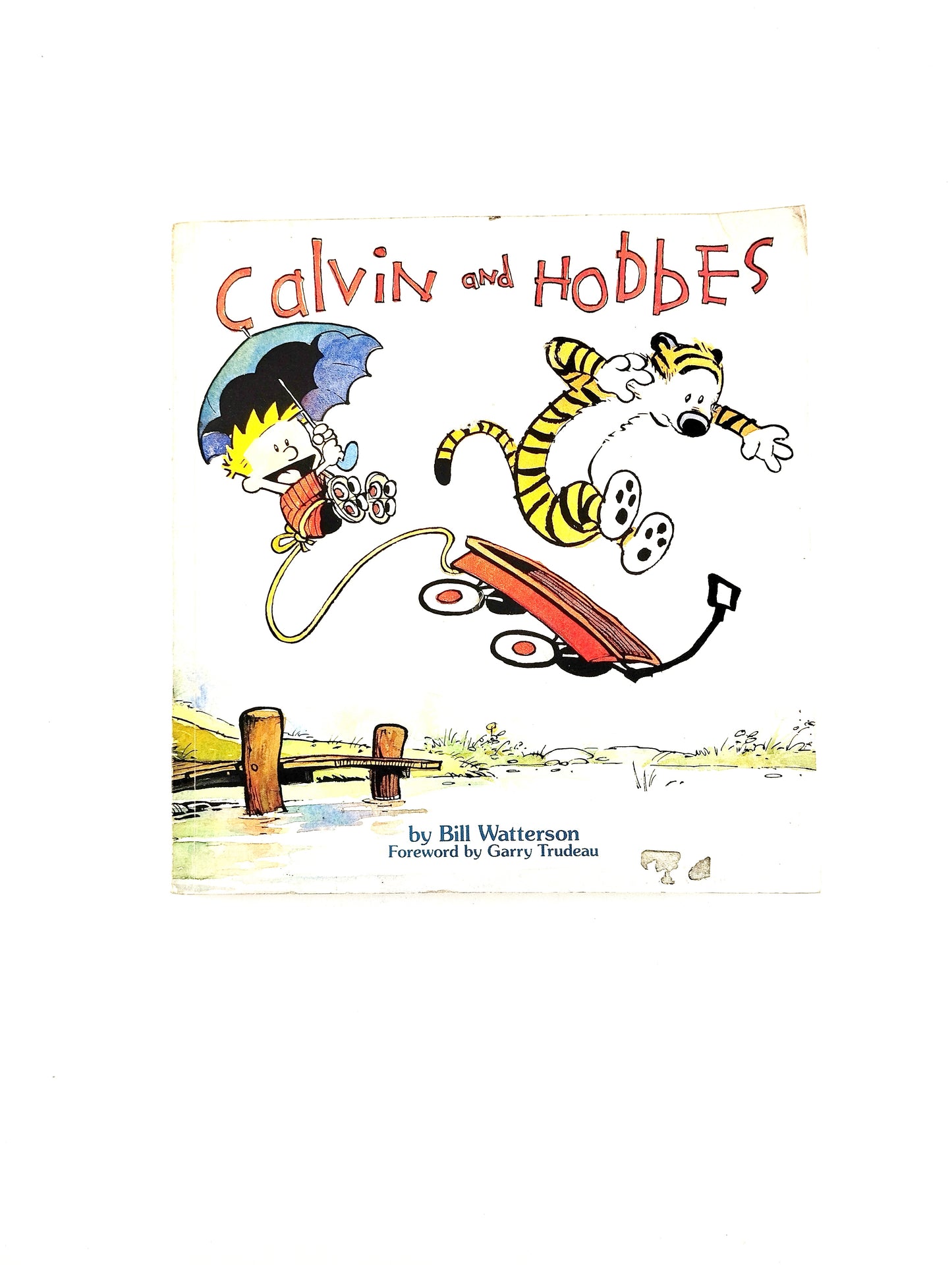Calvin and hobbes