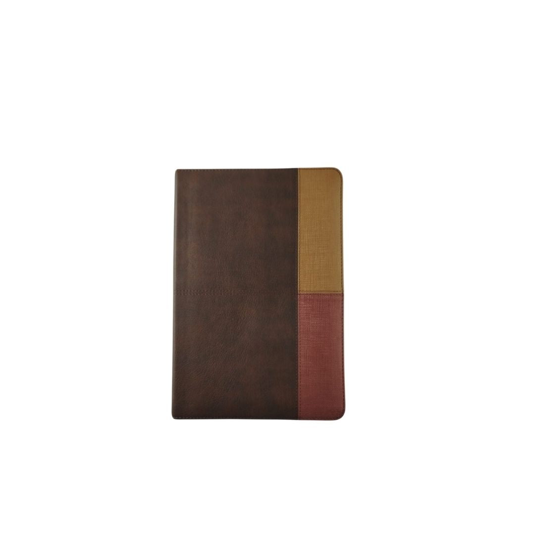 Biblia de estudio arcoíris edición piel terracota cocoa by Reina Valera 1960
