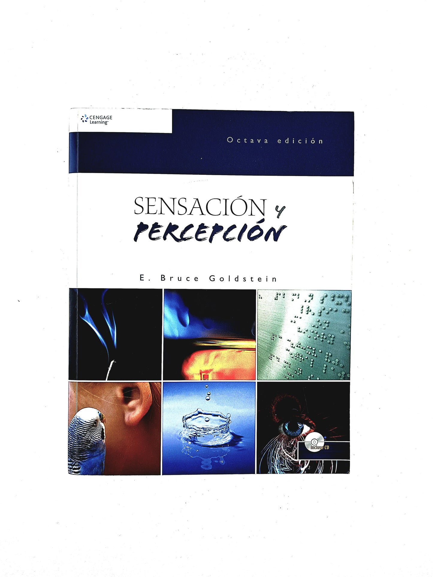 Sensación y percepción octava edición