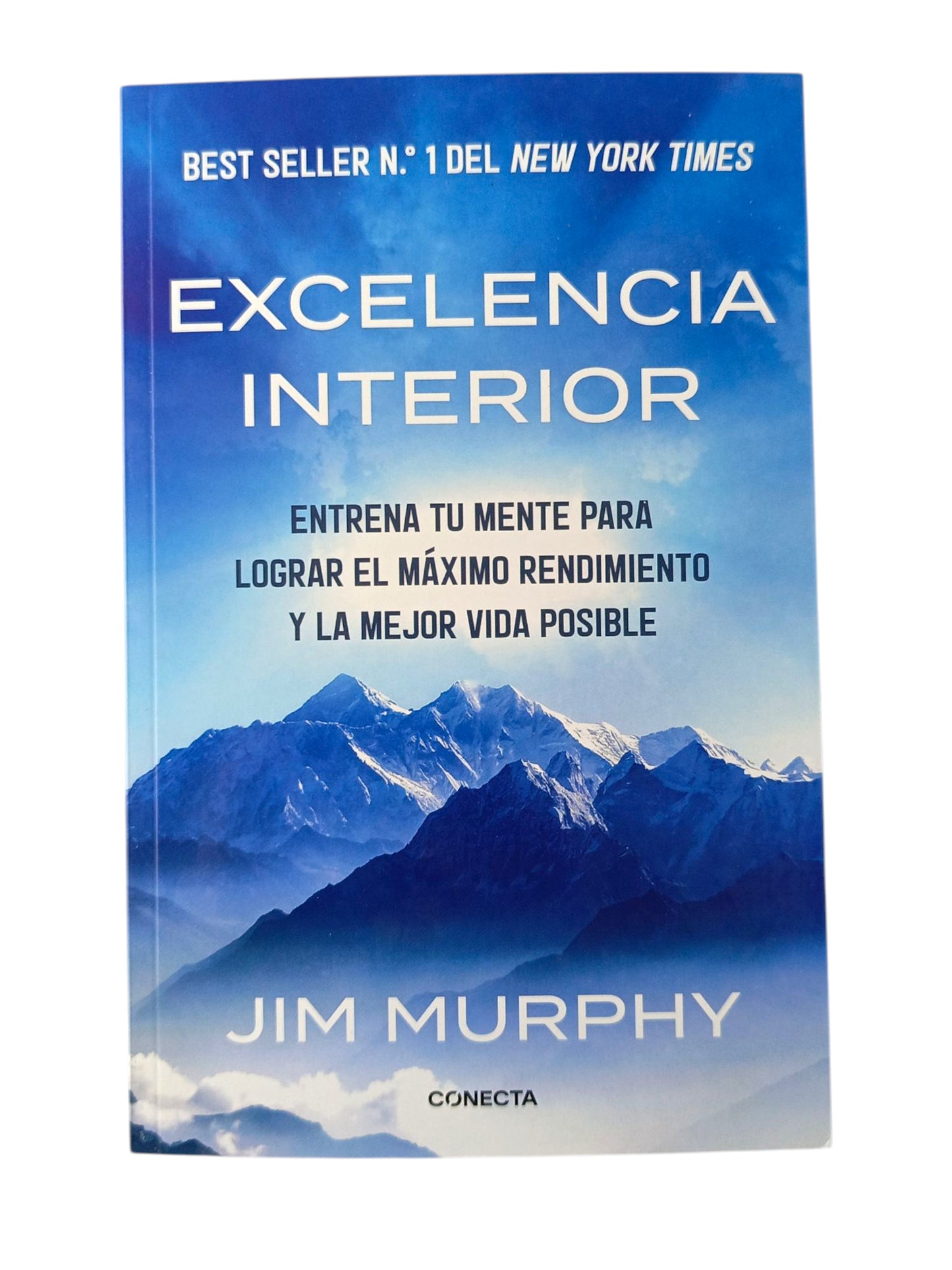 Excelencia interior