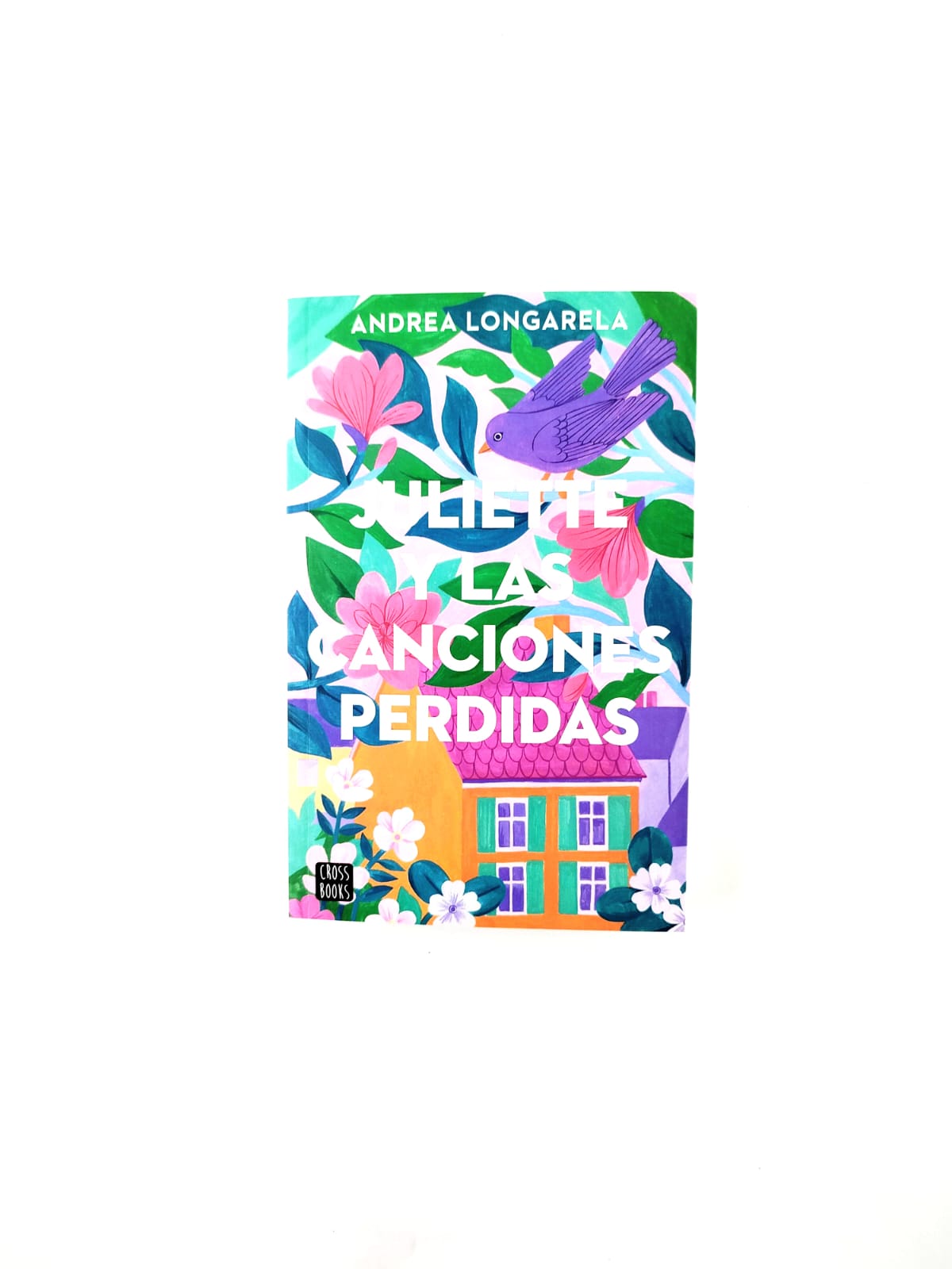 Juliette y las canciones perdidas
