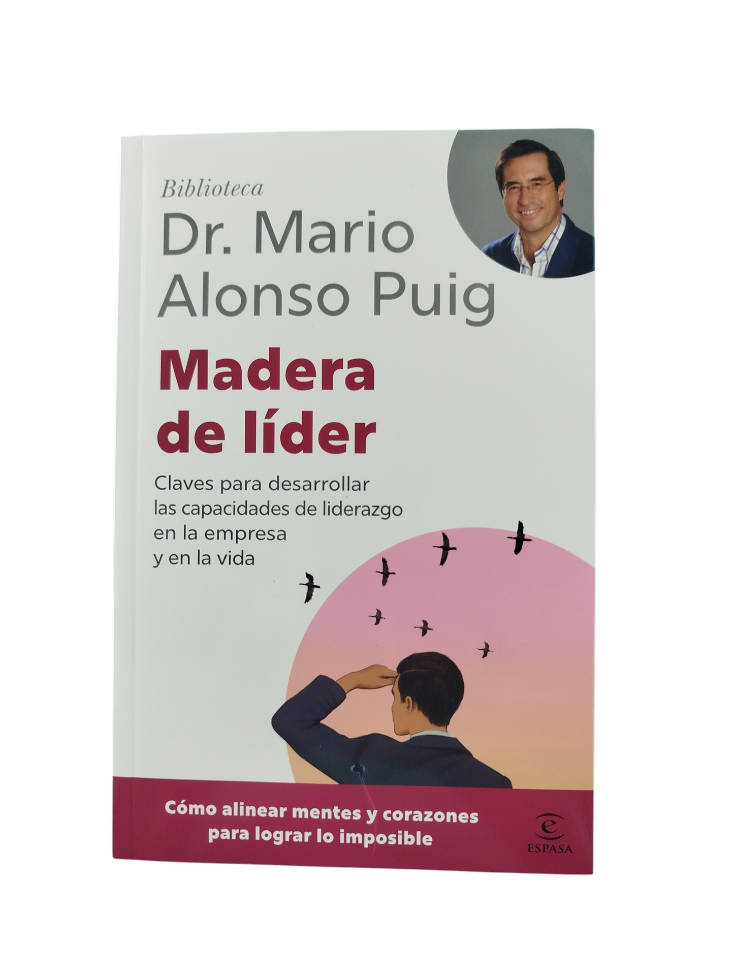 Madera De Líder by Dr Mario Alonso Puig