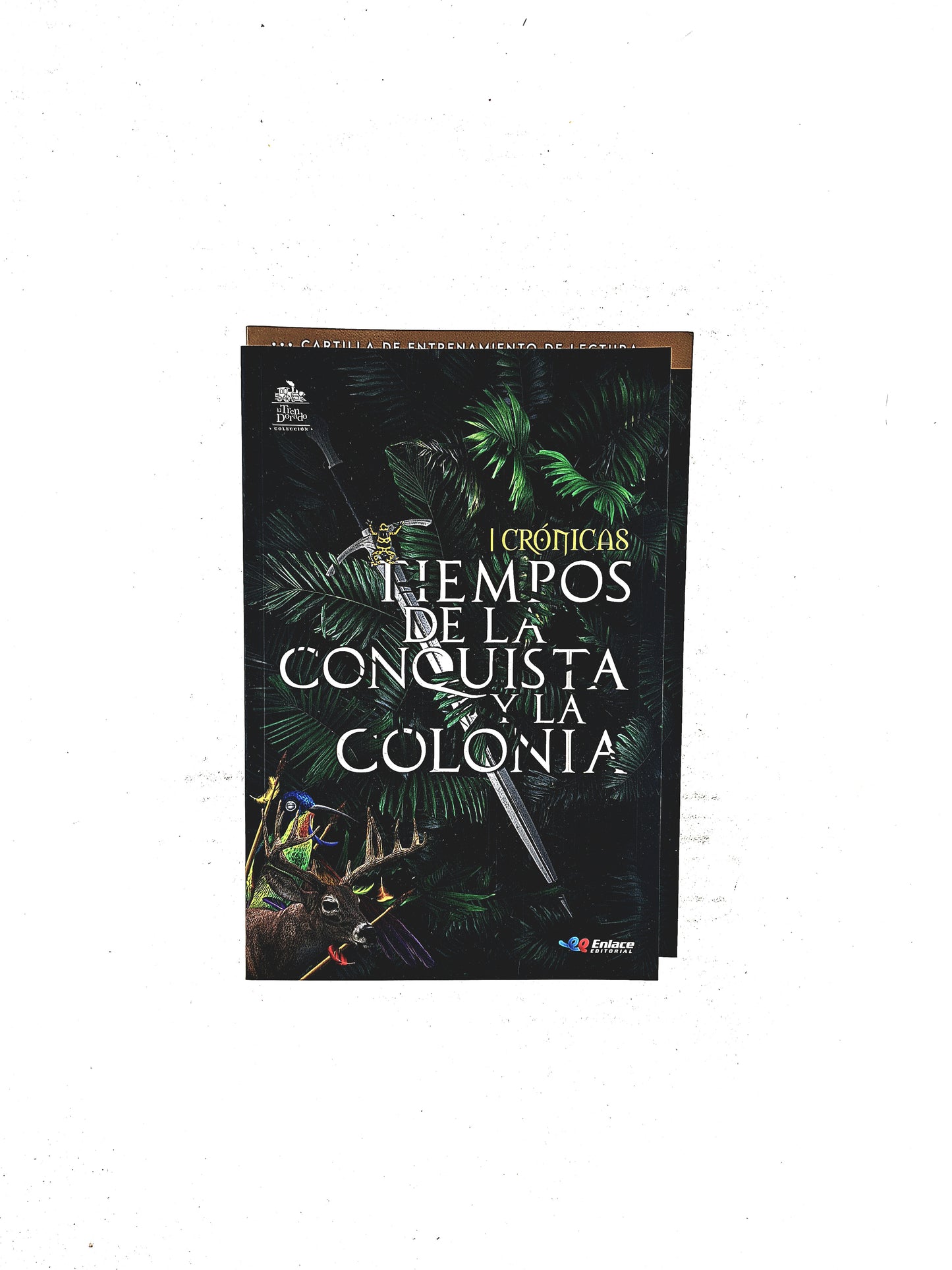 Tiempos de la conquista y la Colonia