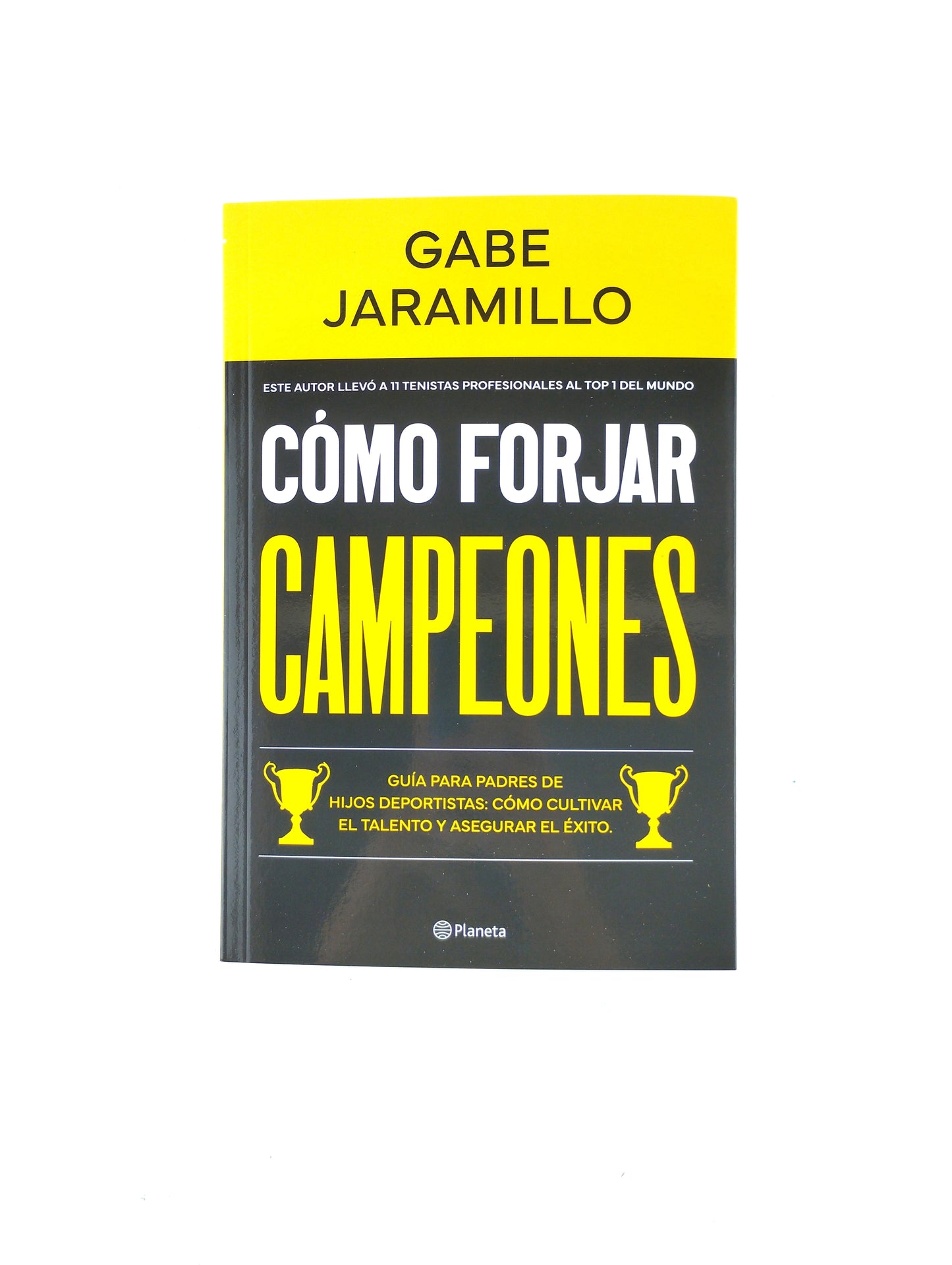 Cómo forjar campeones