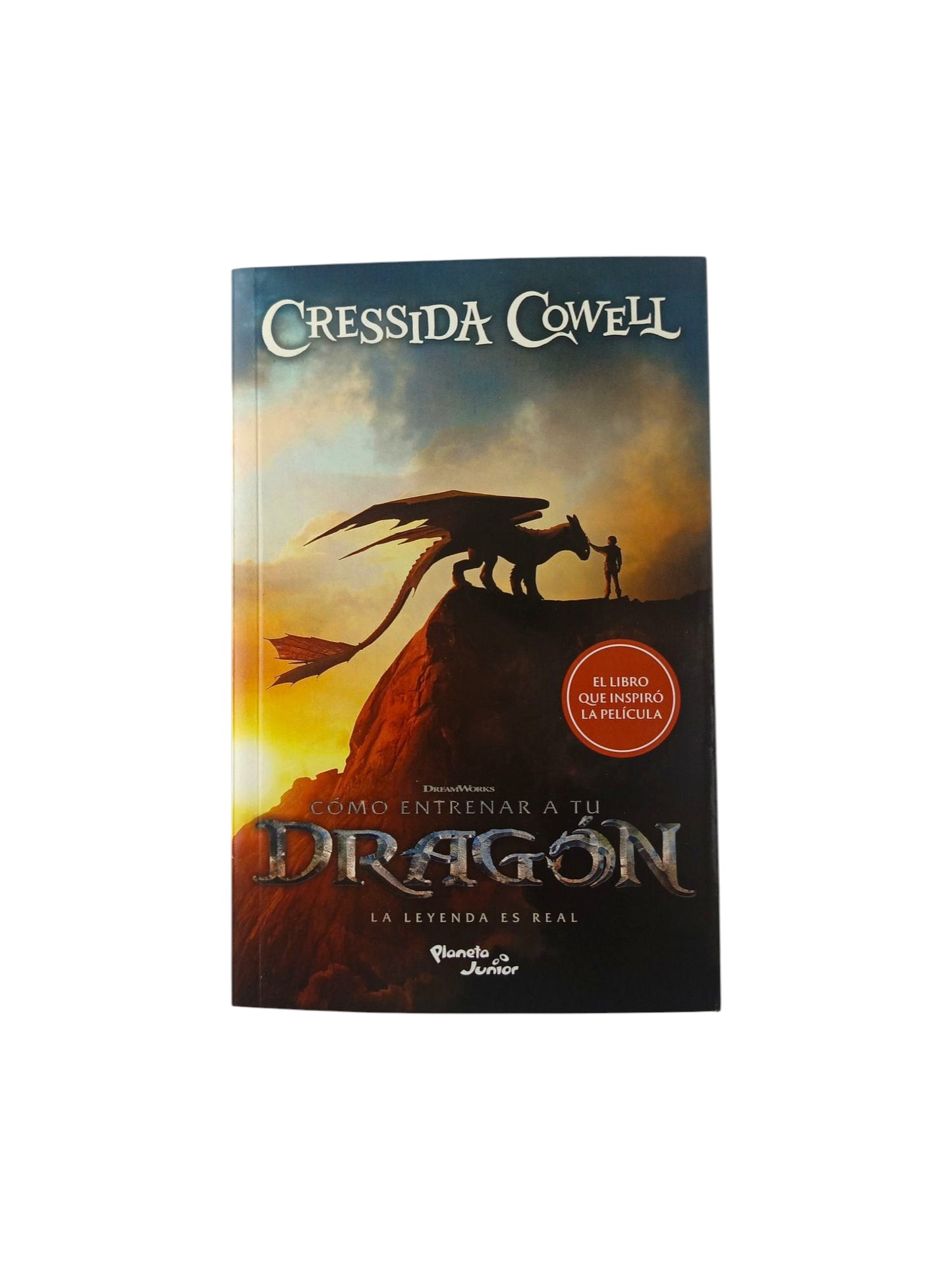 Cómo entrenar a tu dragón