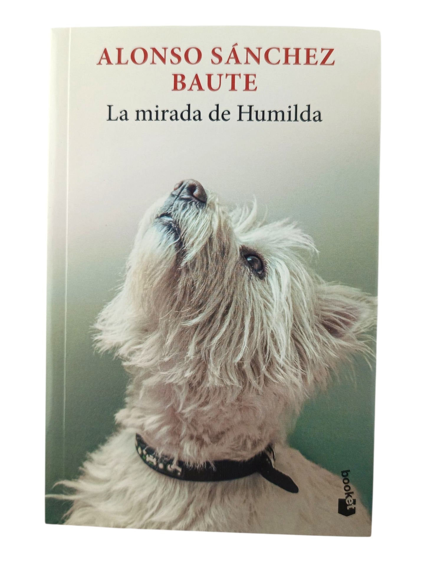 La Mirada de Humilda