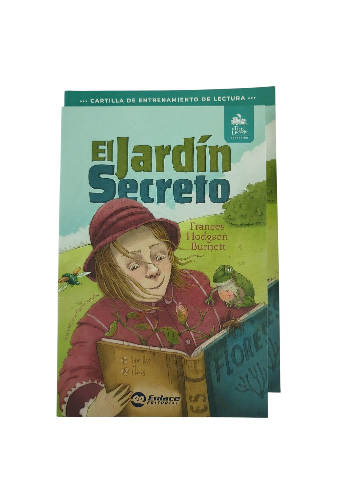 El jardín secreto kit by Frances Hodgson Burnett