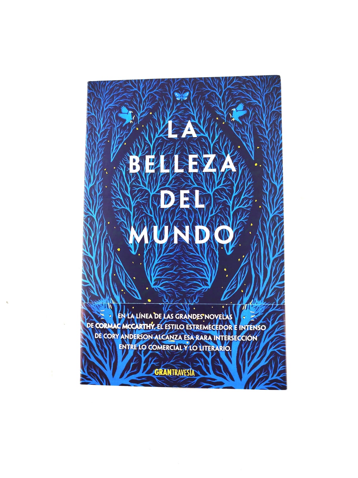 La Belleza del Mundo