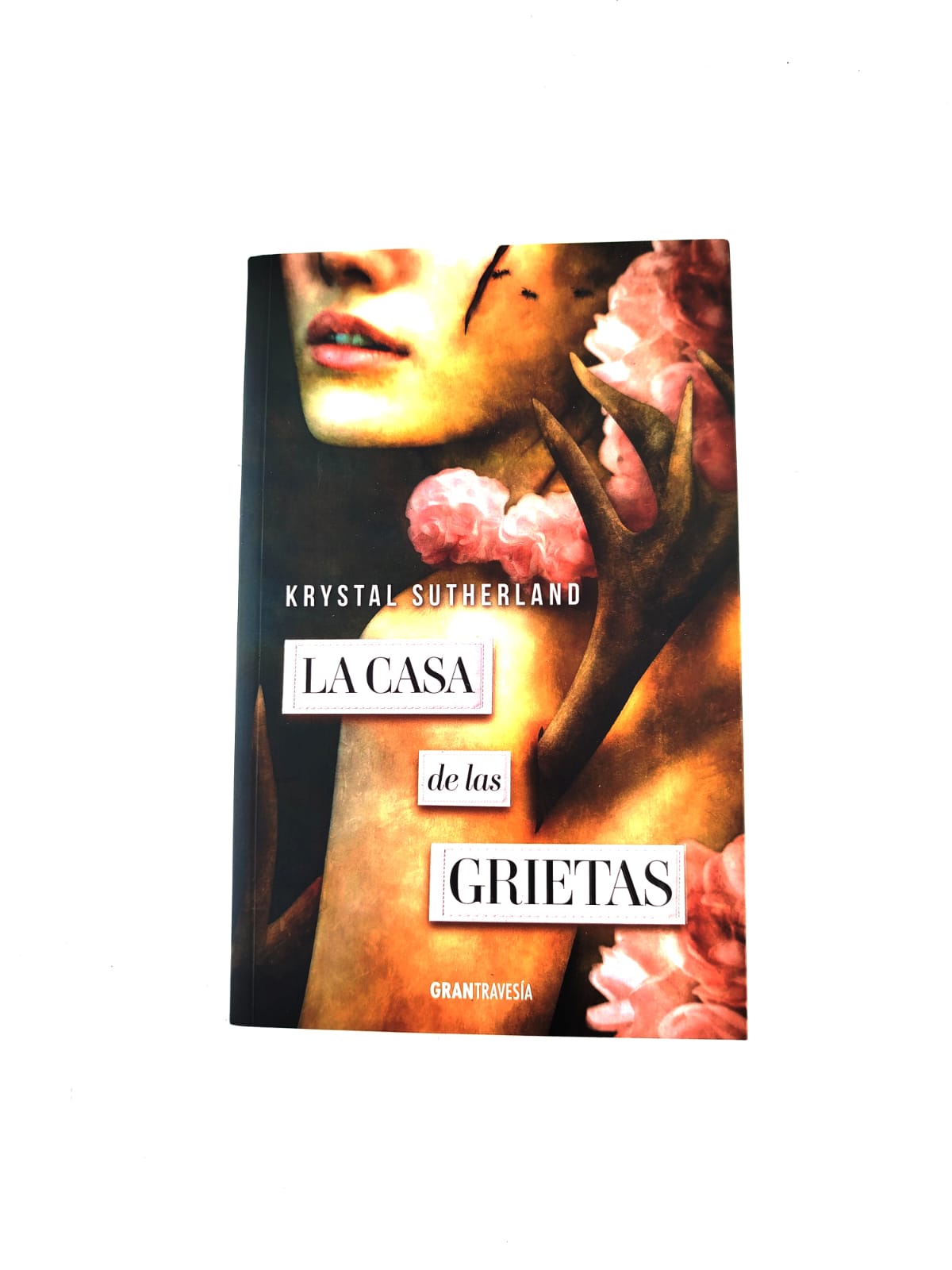 La casa de las grietas