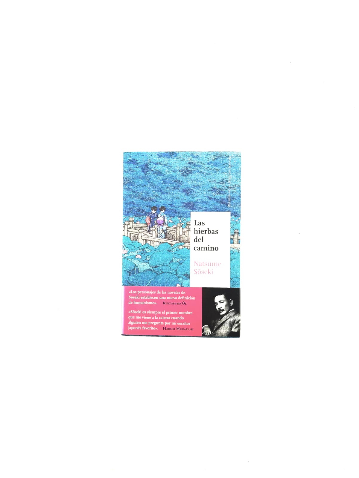 Las hierbas del camino by Natsume Soseki