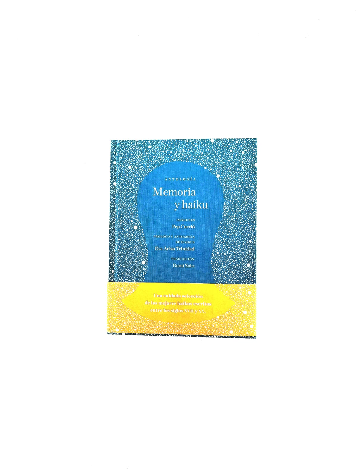 Memoria y haiku