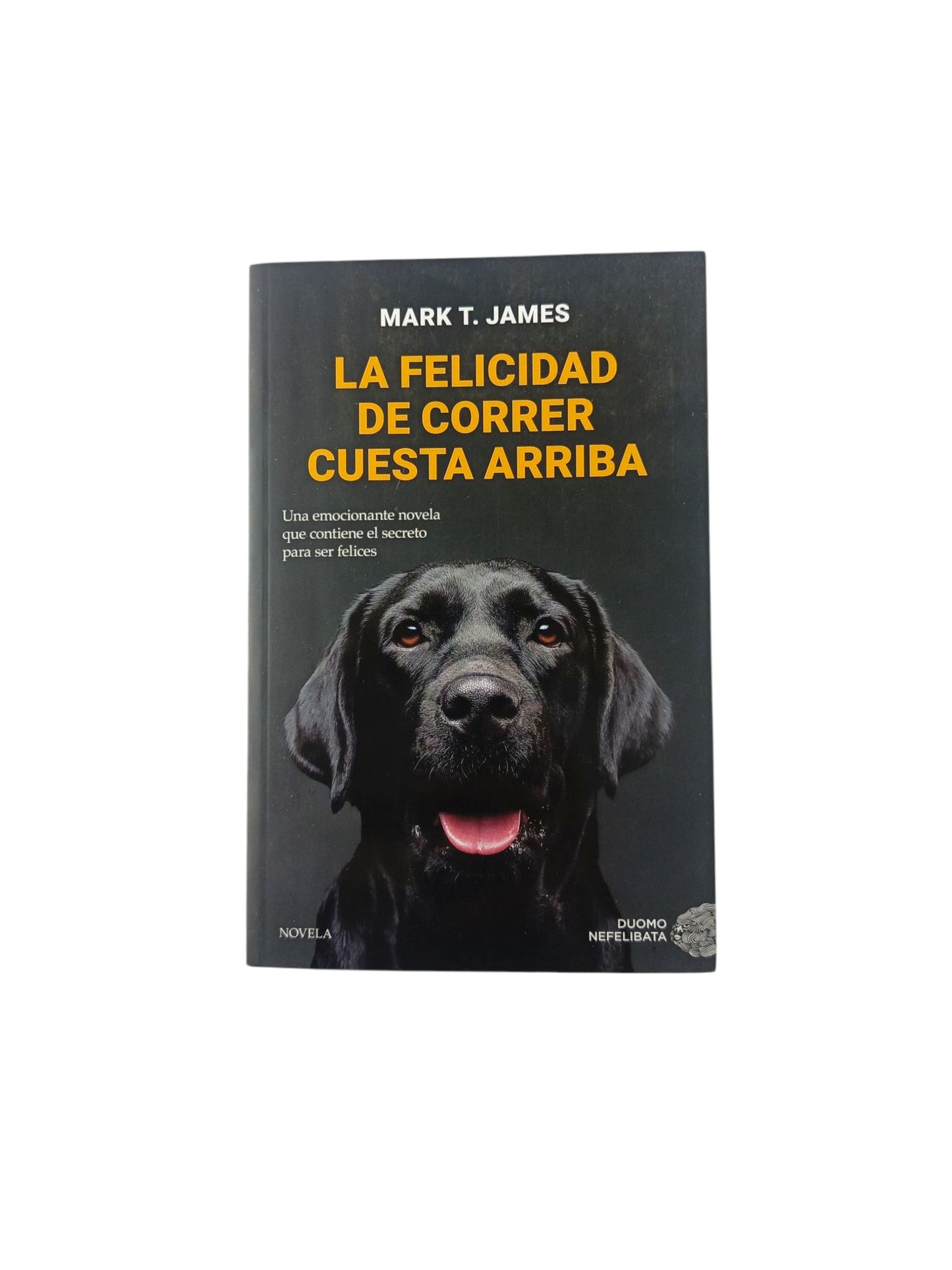 La felicidad de correr cuesta arriba