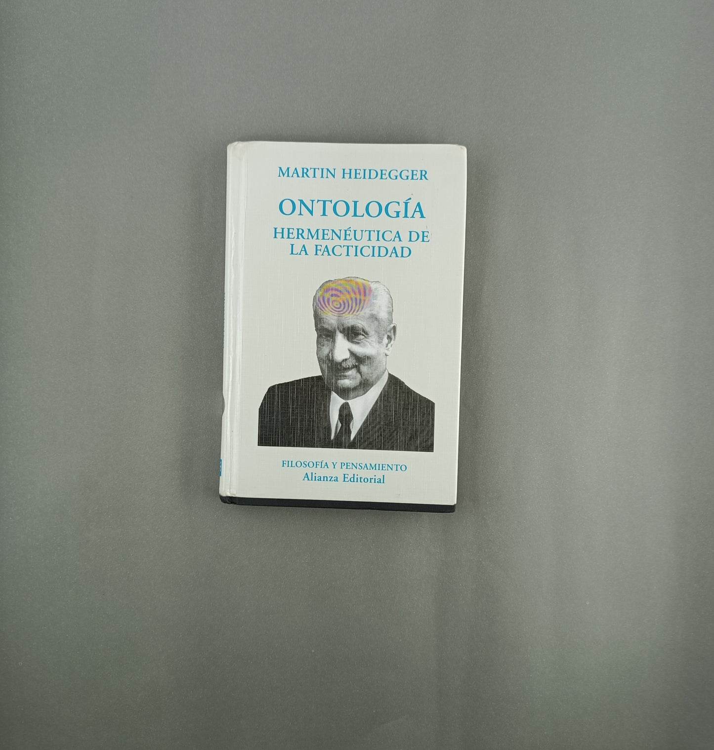 Ontología hermenéutica de la facticidad
