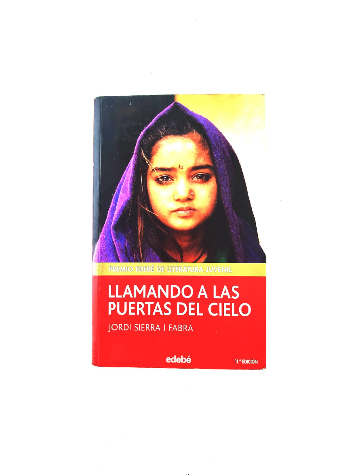 Llamando a las puertas del cielo by Jordi Sierra i Fabra