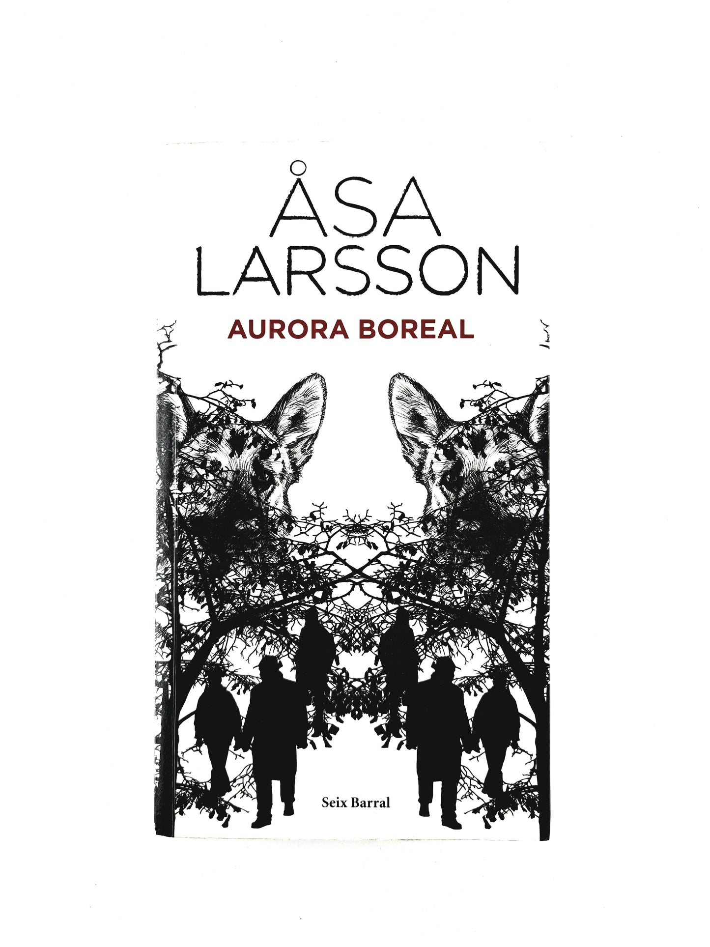 Aurora boreal by Asa Larsson