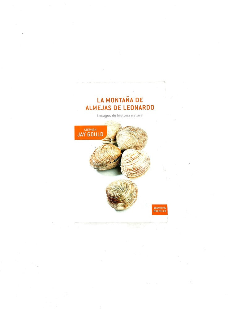 La montaña de almejas de leonardo