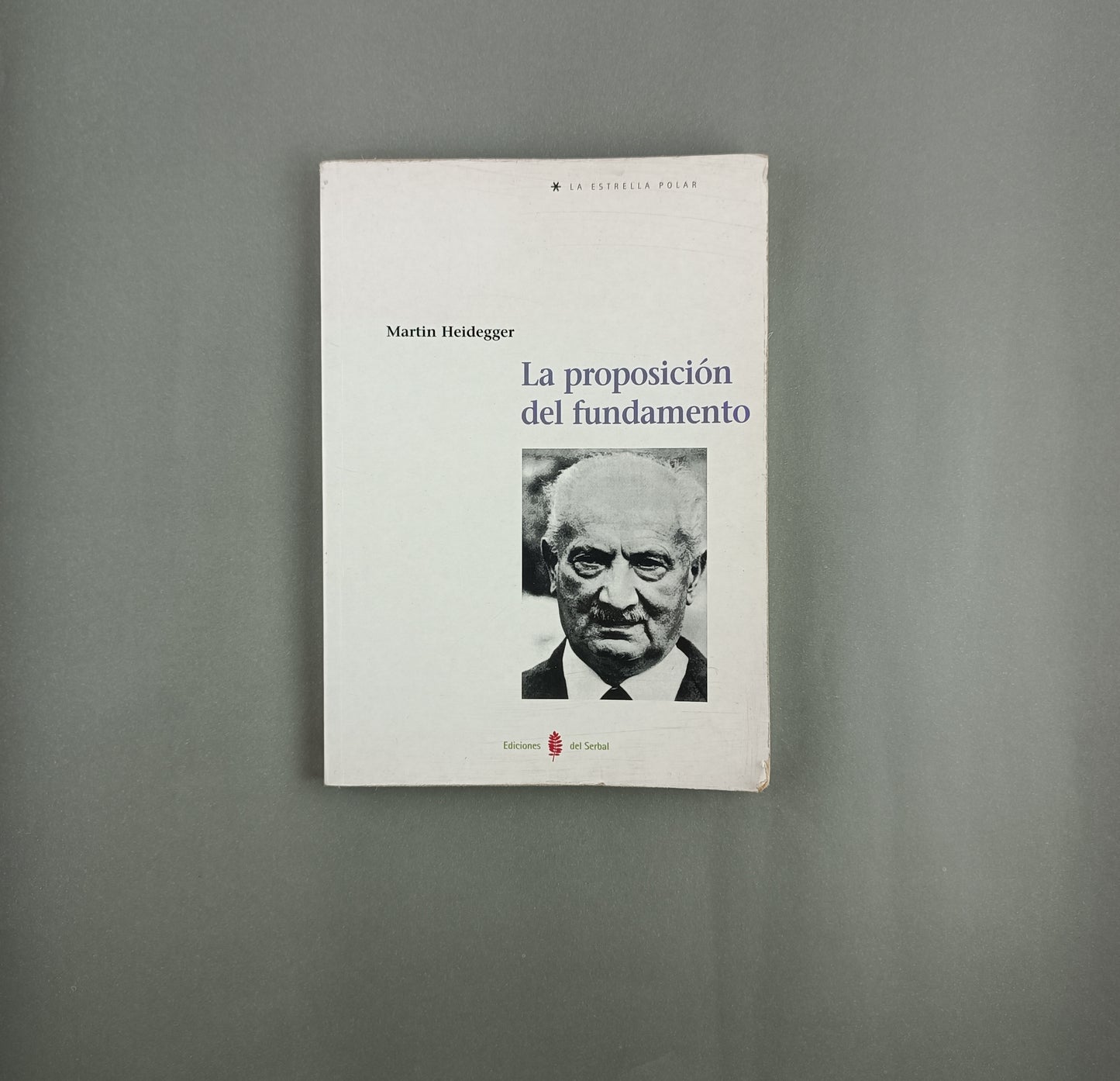 La proposición del fundamento