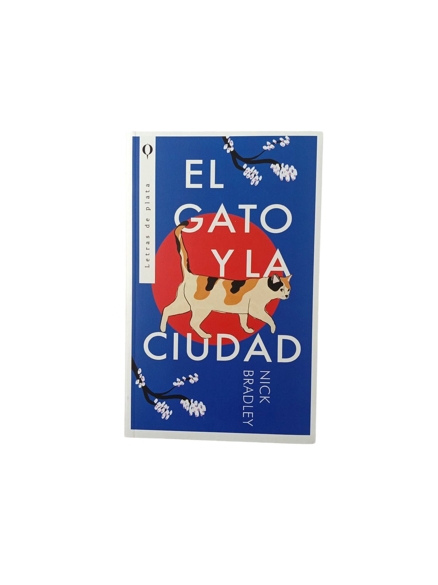 El gato y la ciudad