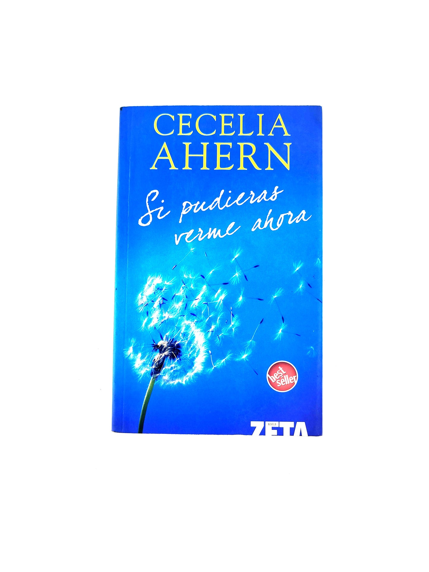 Si pudieras verme ahora