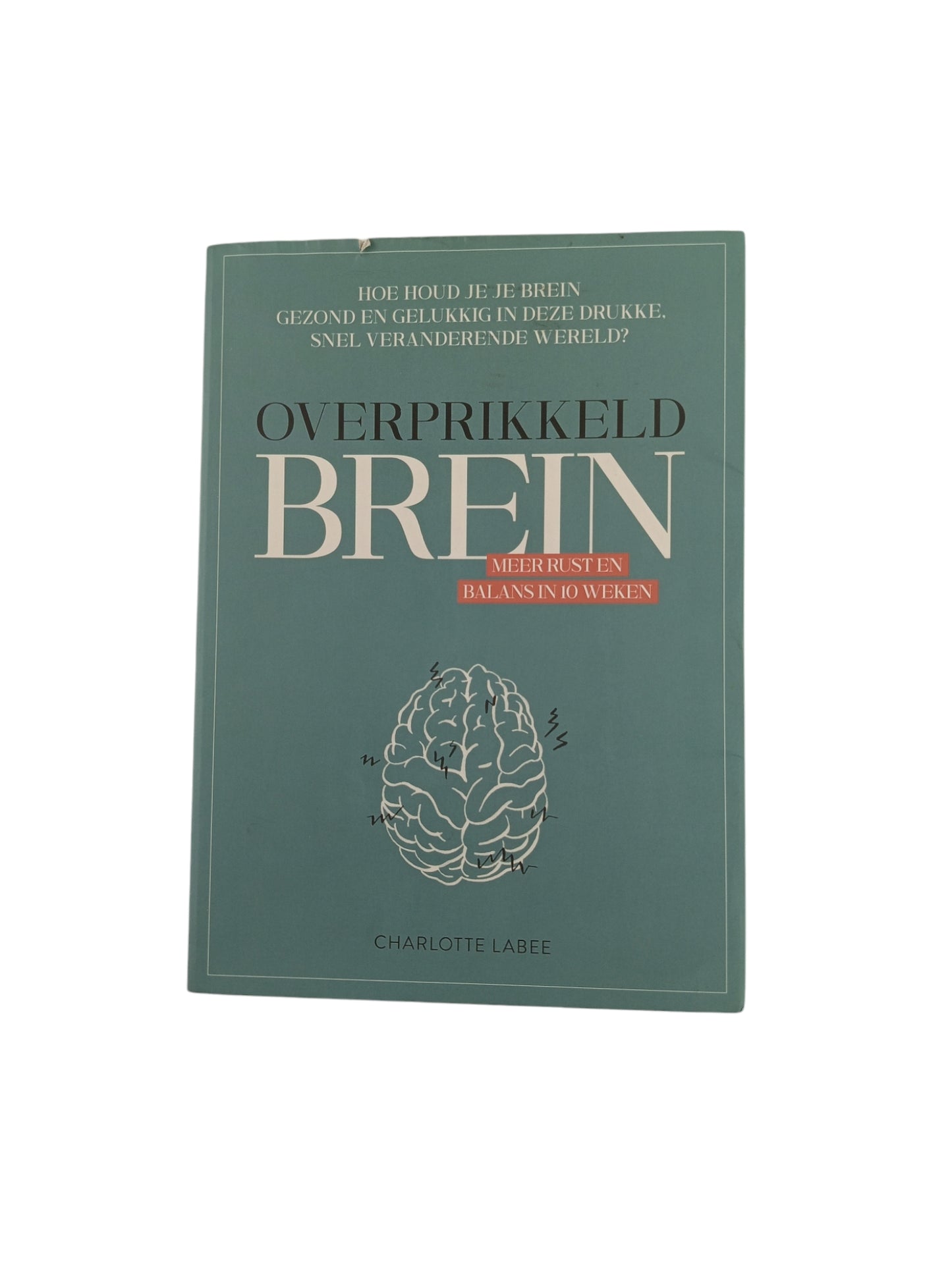Overprikkeld brein