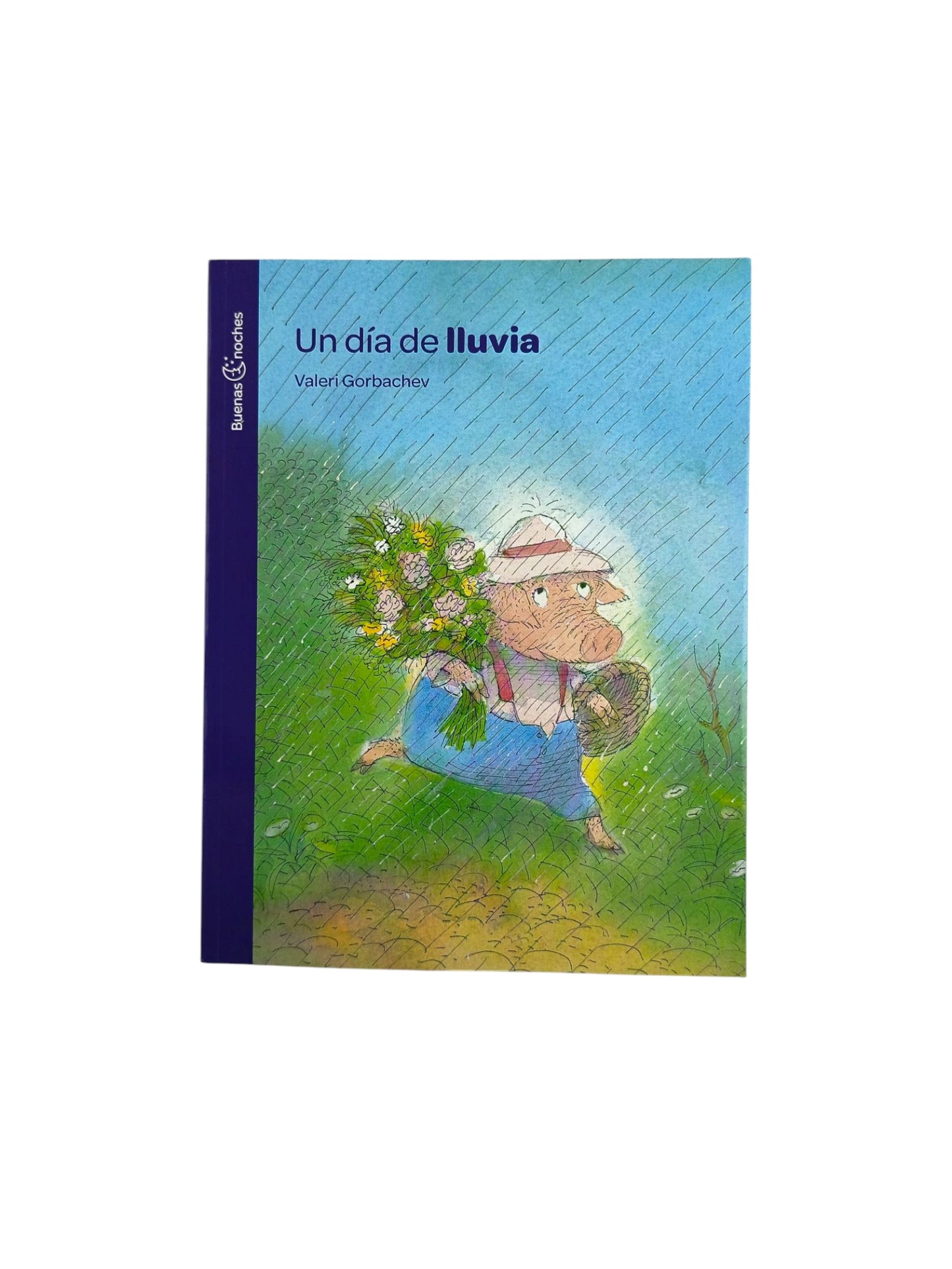 Un Día de Lluvia by Valeri Gorbachev