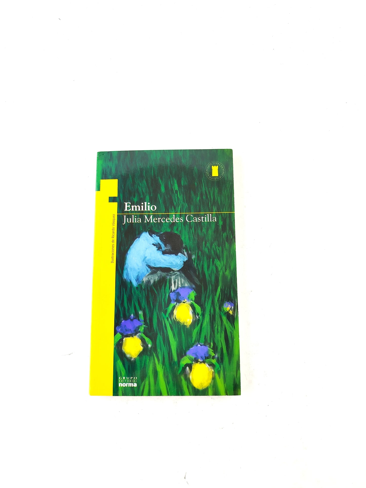 Emilio libro by Julia Mercedes Castilla