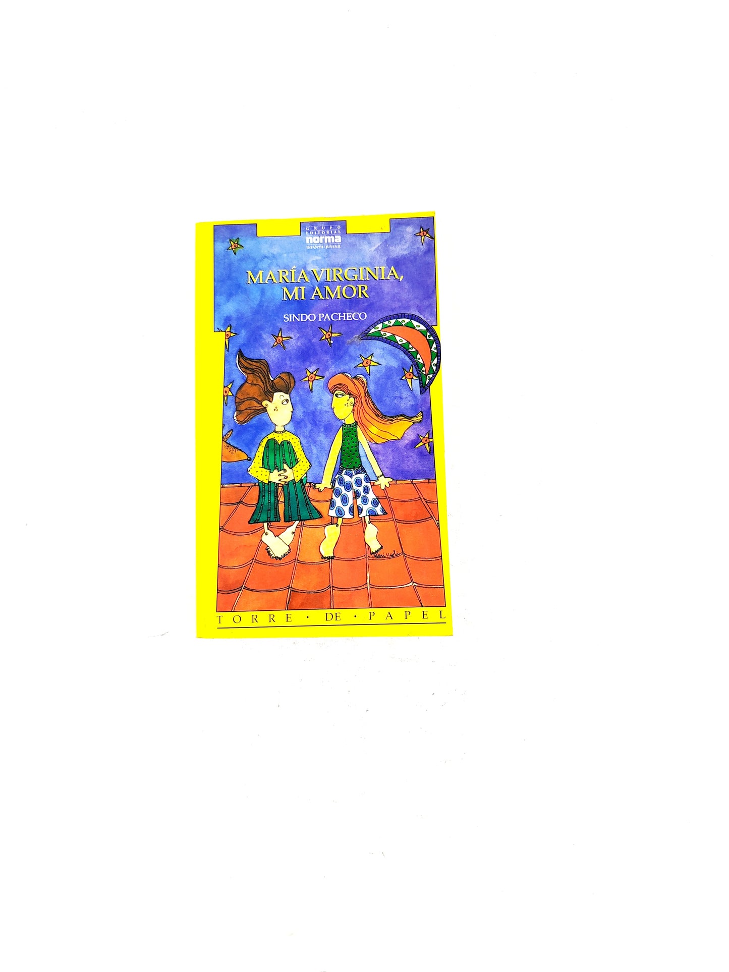 María Virginia, mi amor libro